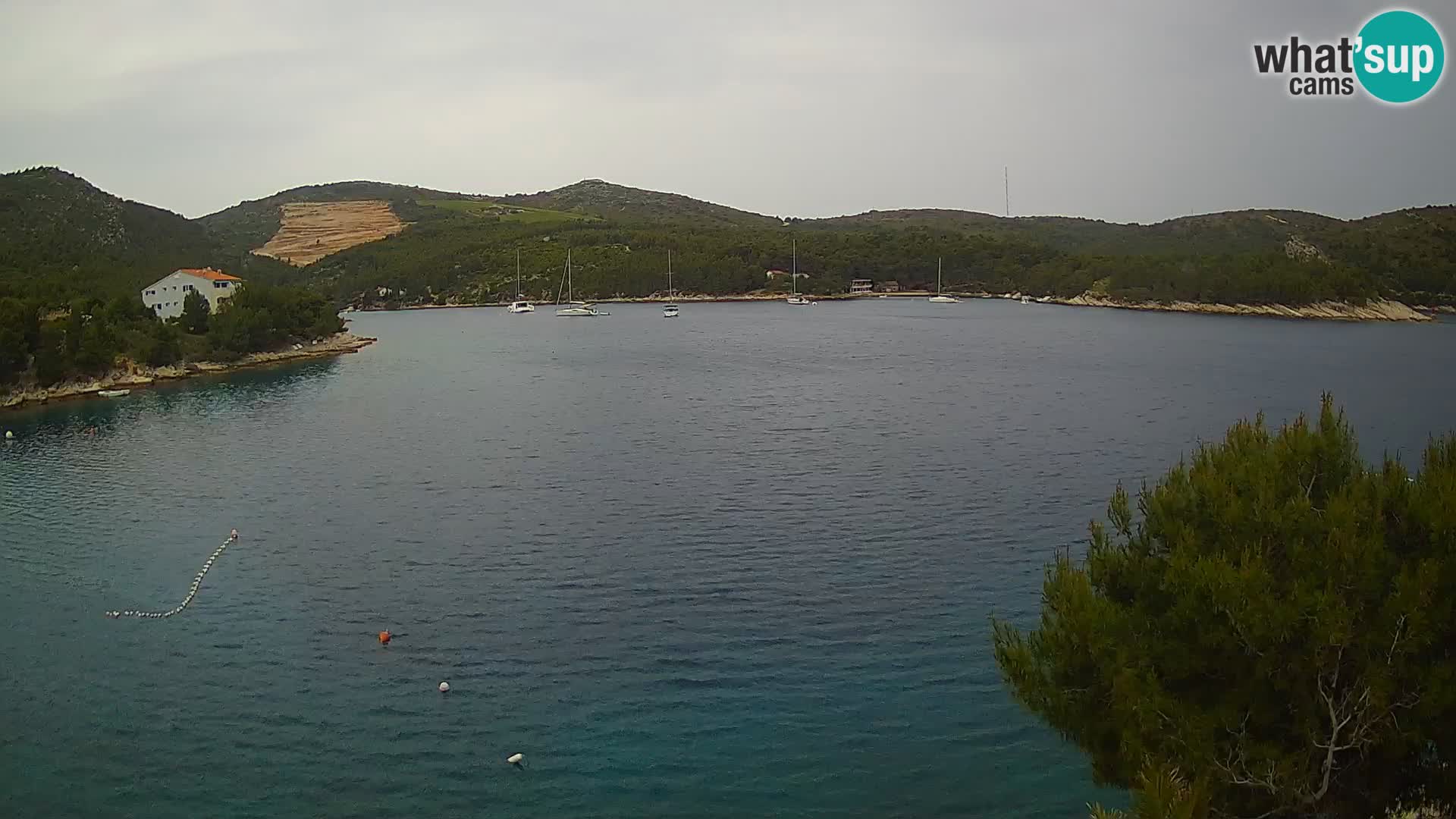 Camera Hvar Vira playa | Isla de Hvar | Dalmacia