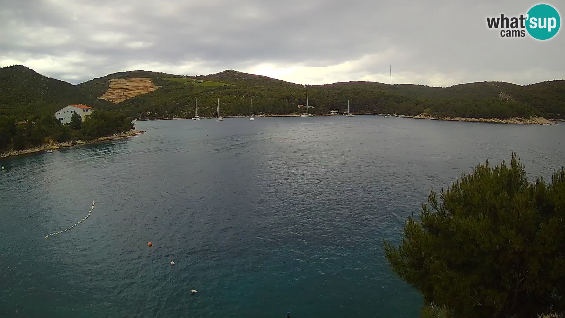 Hvar webcam Vira Strand | Hvar Insel | Dalmatien