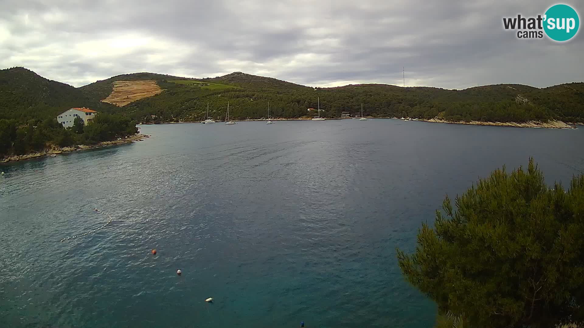 Camera Hvar Vira playa | Isla de Hvar | Dalmacia