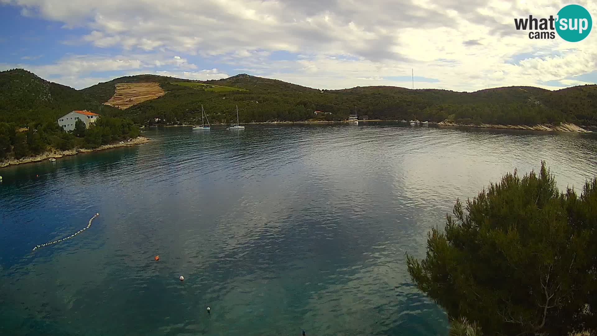 Camera Hvar Vira playa | Isla de Hvar | Dalmacia
