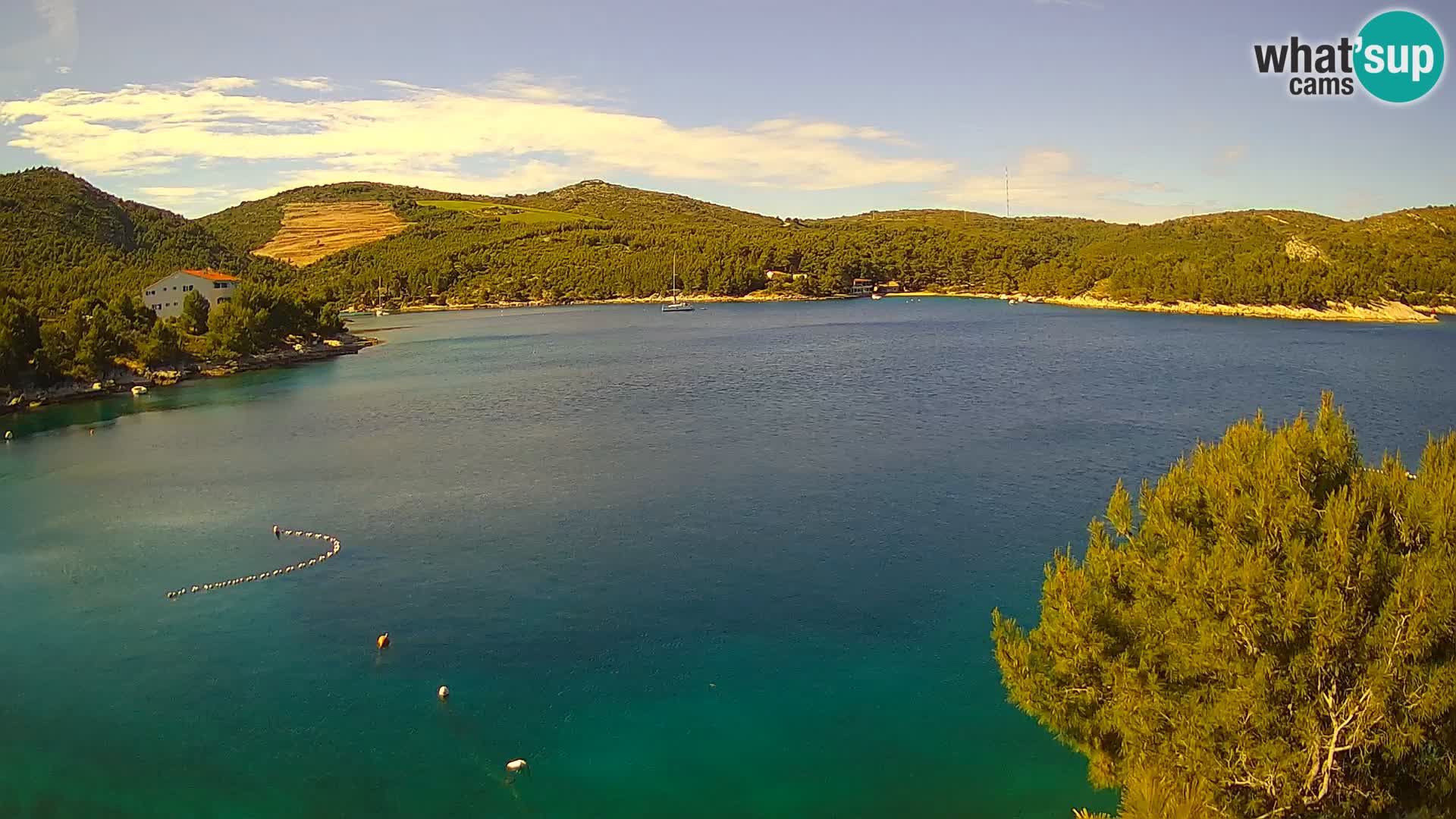 Camera Hvar Vira playa | Isla de Hvar | Dalmacia