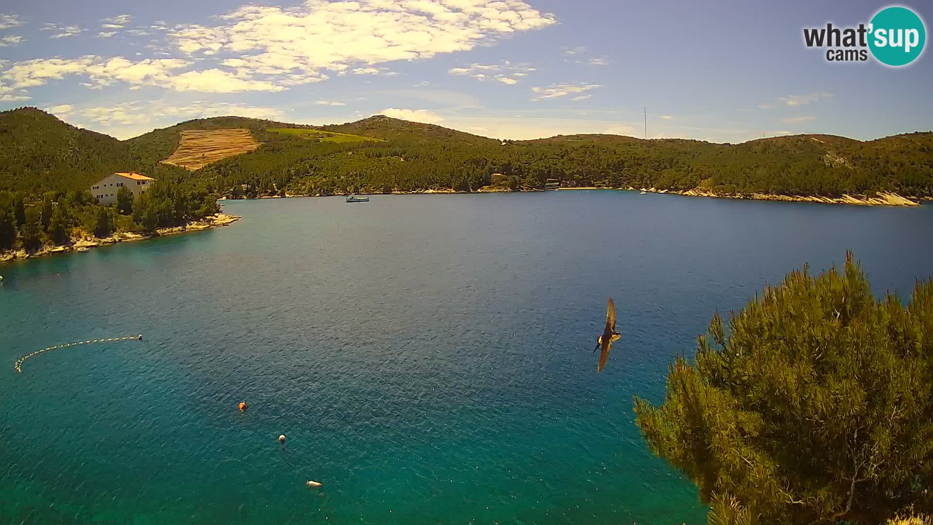 Camera Hvar Vira playa | Isla de Hvar | Dalmacia