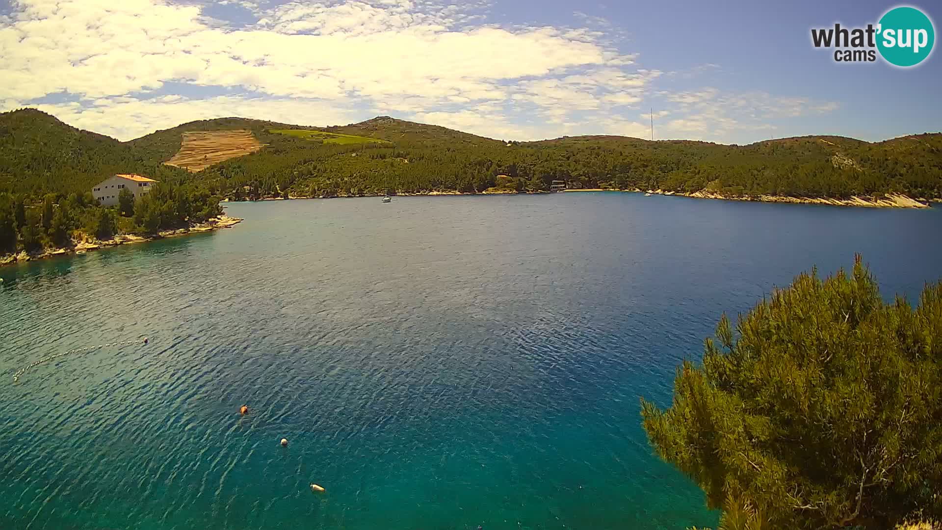 Web kamera Hvar Vira plaža | otok Hvar | Dalmacija