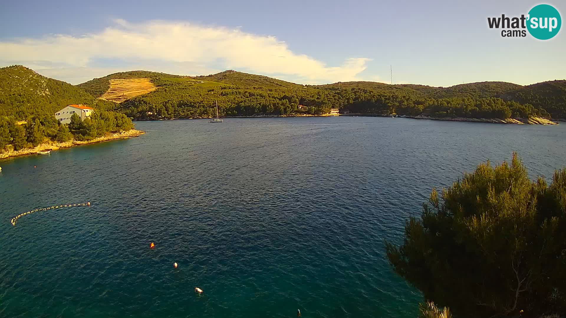 Camera Hvar Vira playa | Isla de Hvar | Dalmacia