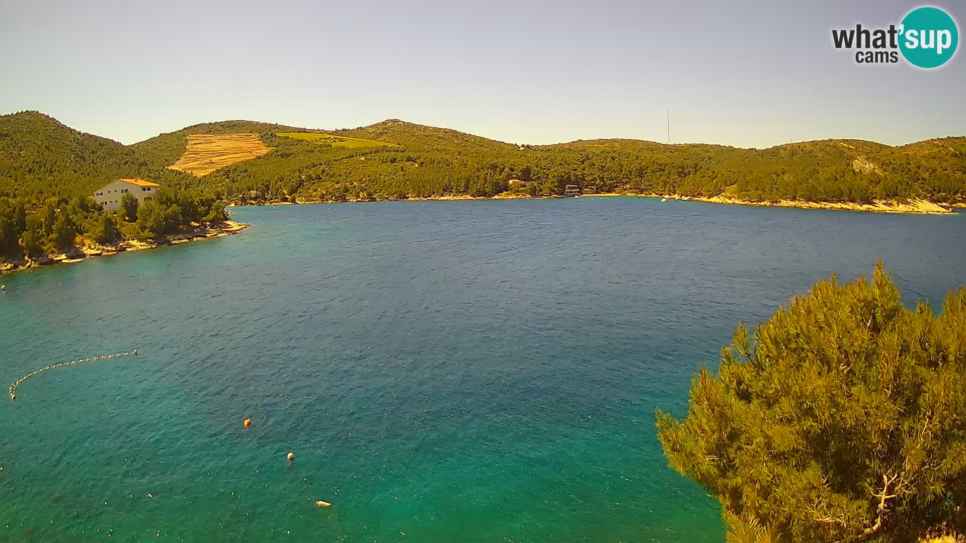 Hvar webcam Vira Strand | Hvar Insel | Dalmatien