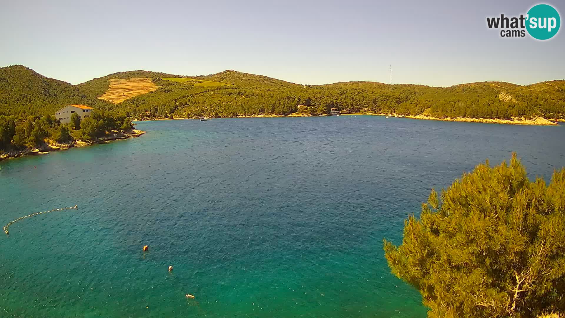 Web kamera Hvar Vira plaža | otok Hvar | Dalmacija
