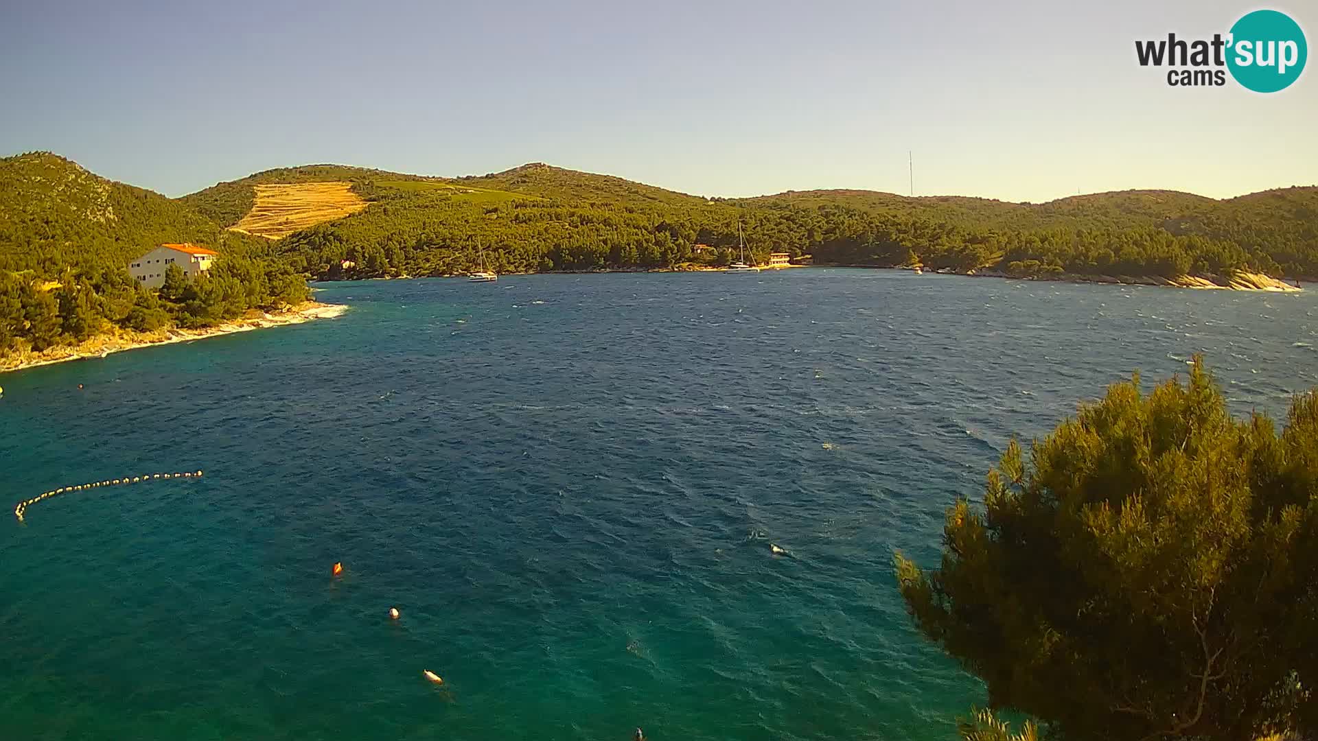Camera Hvar Vira playa | Isla de Hvar | Dalmacia