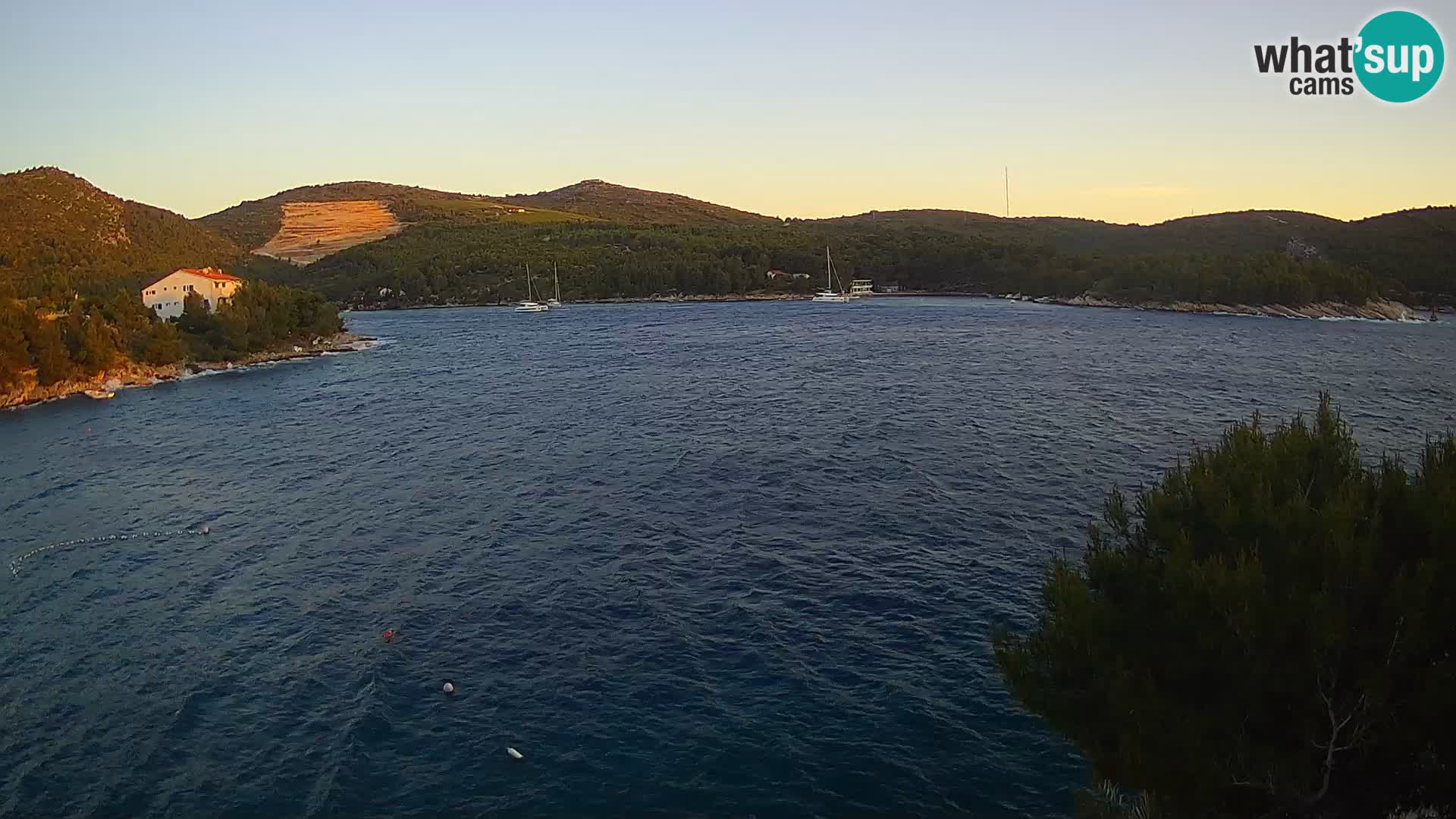 Camera Hvar Vira playa | Isla de Hvar | Dalmacia