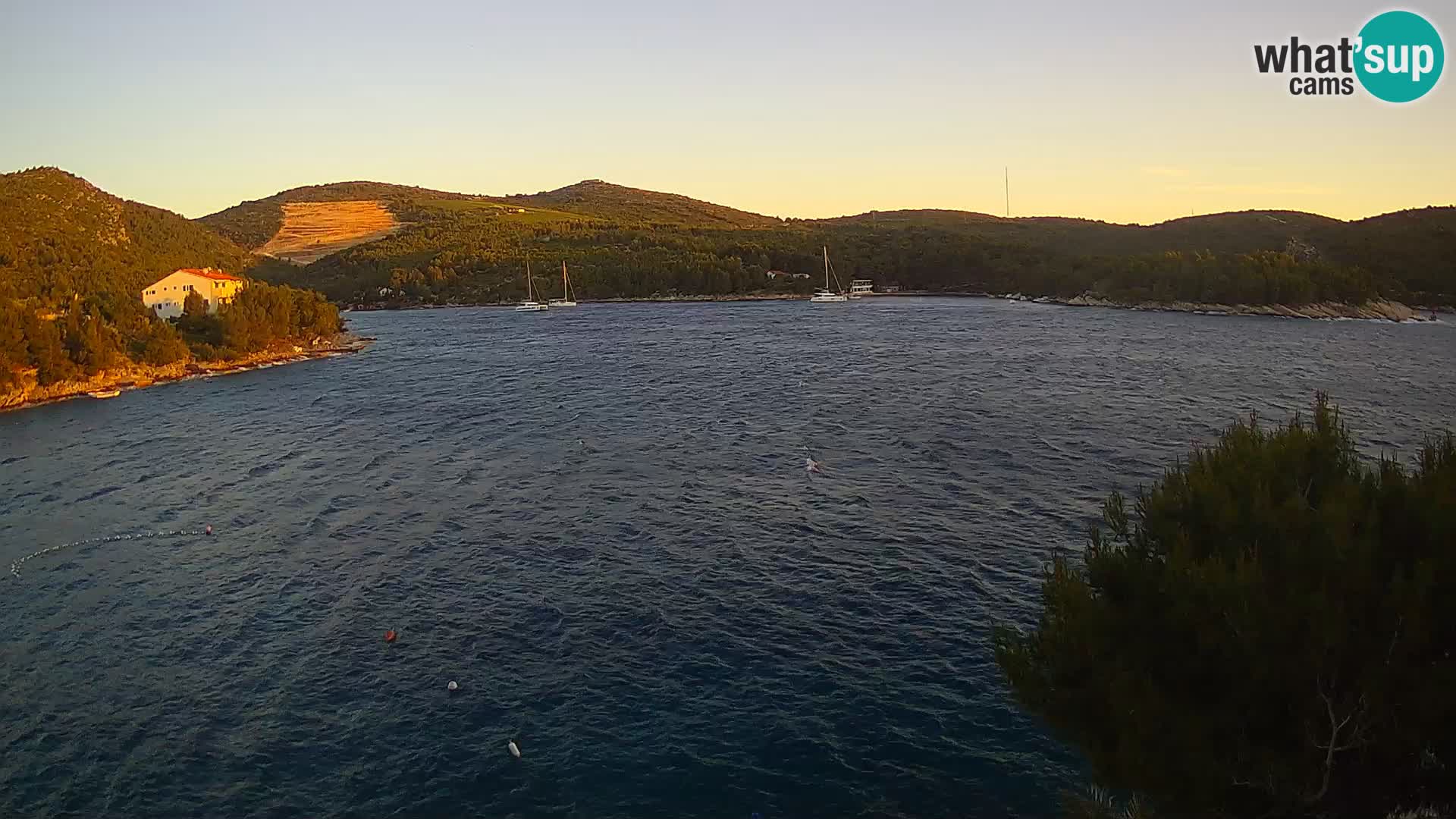 Hvar webcam Vira Strand | Hvar Insel | Dalmatien