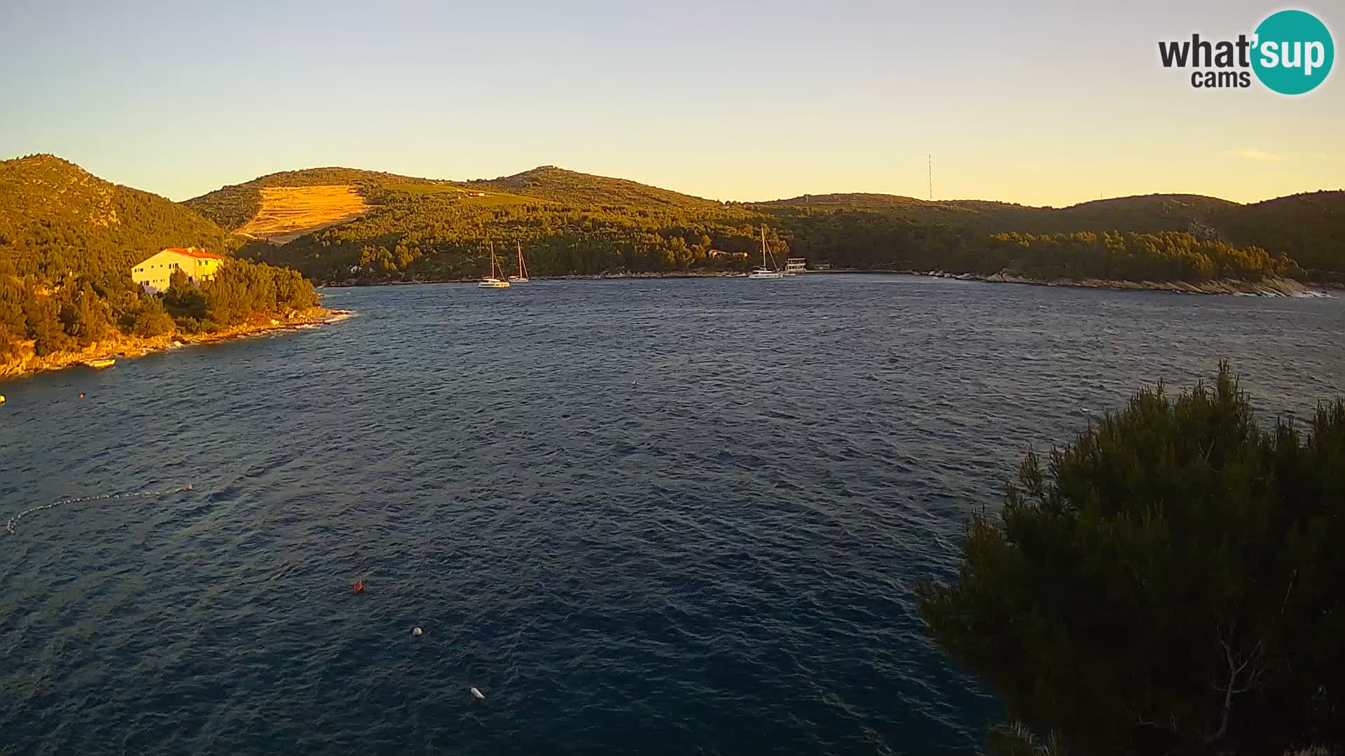 Hvar webcam Vira Strand | Hvar Insel | Dalmatien