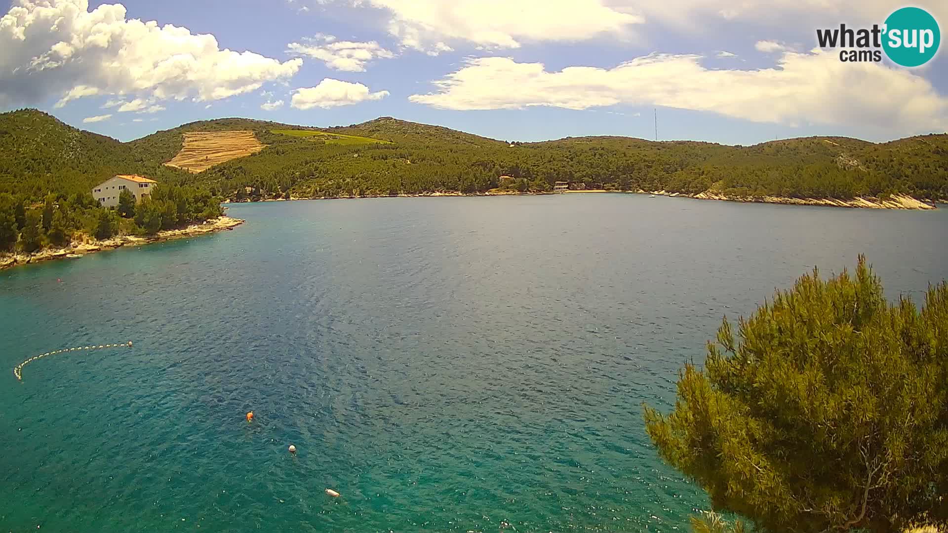 Camera Hvar Vira playa | Isla de Hvar | Dalmacia
