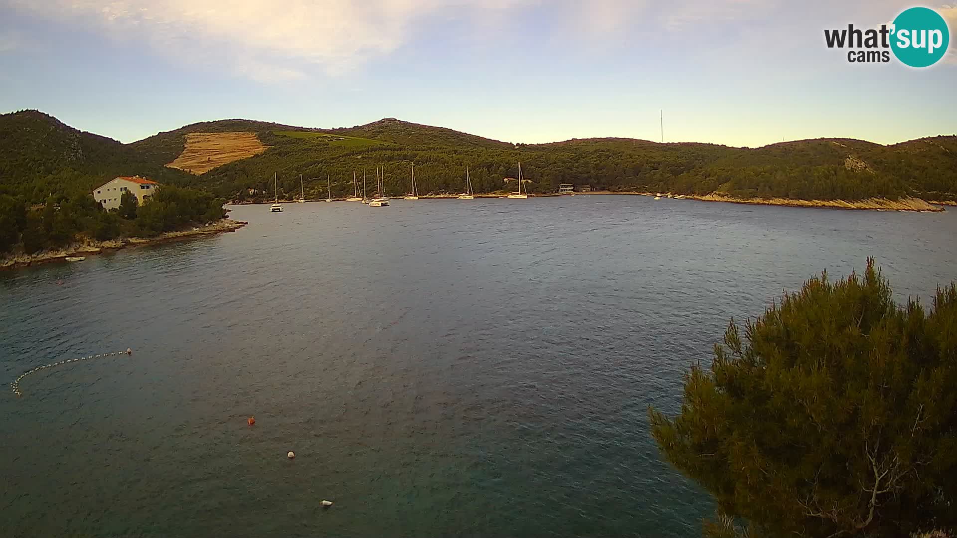 Hvar webcam Vira Strand | Hvar Insel | Dalmatien