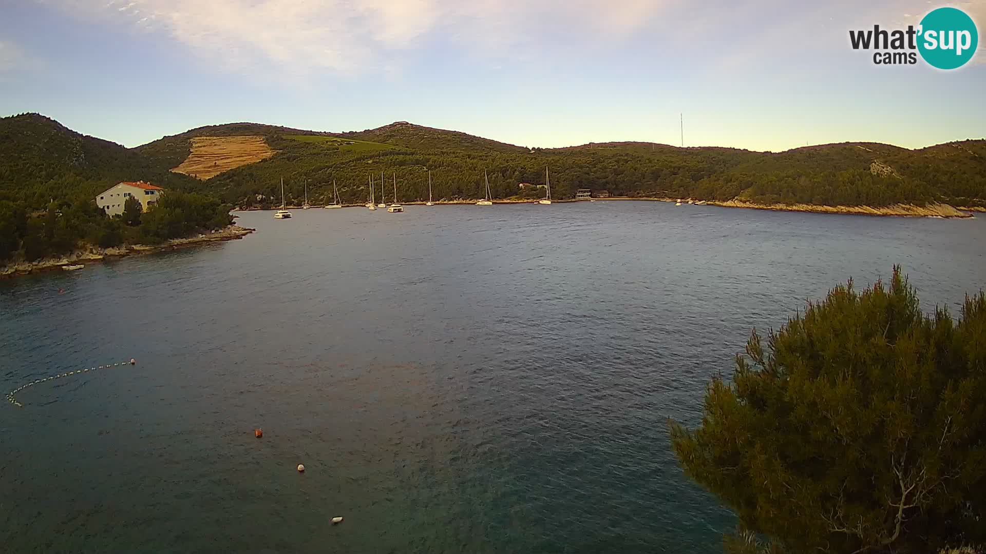 Live cam Hvar Vira plage | Île de Hvar | Dalmatie