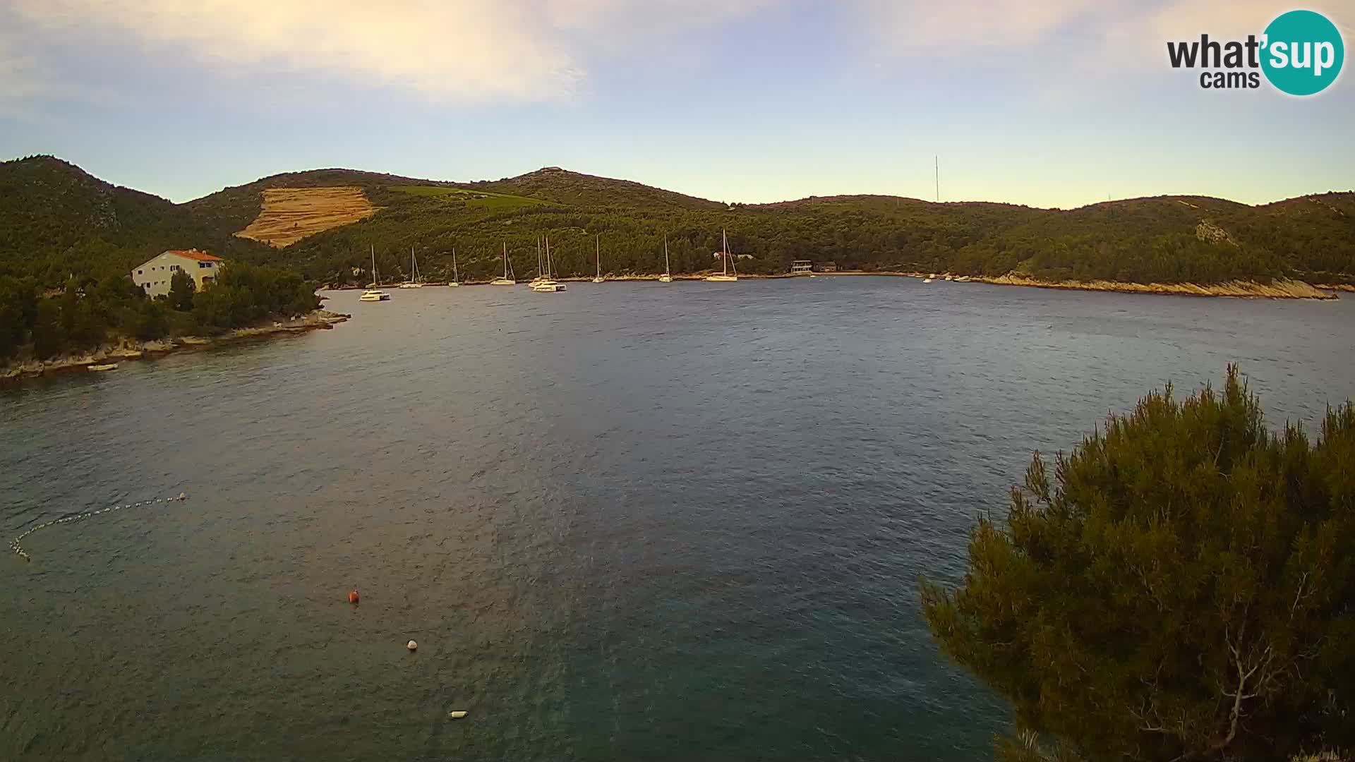 Camera Hvar Vira playa | Isla de Hvar | Dalmacia