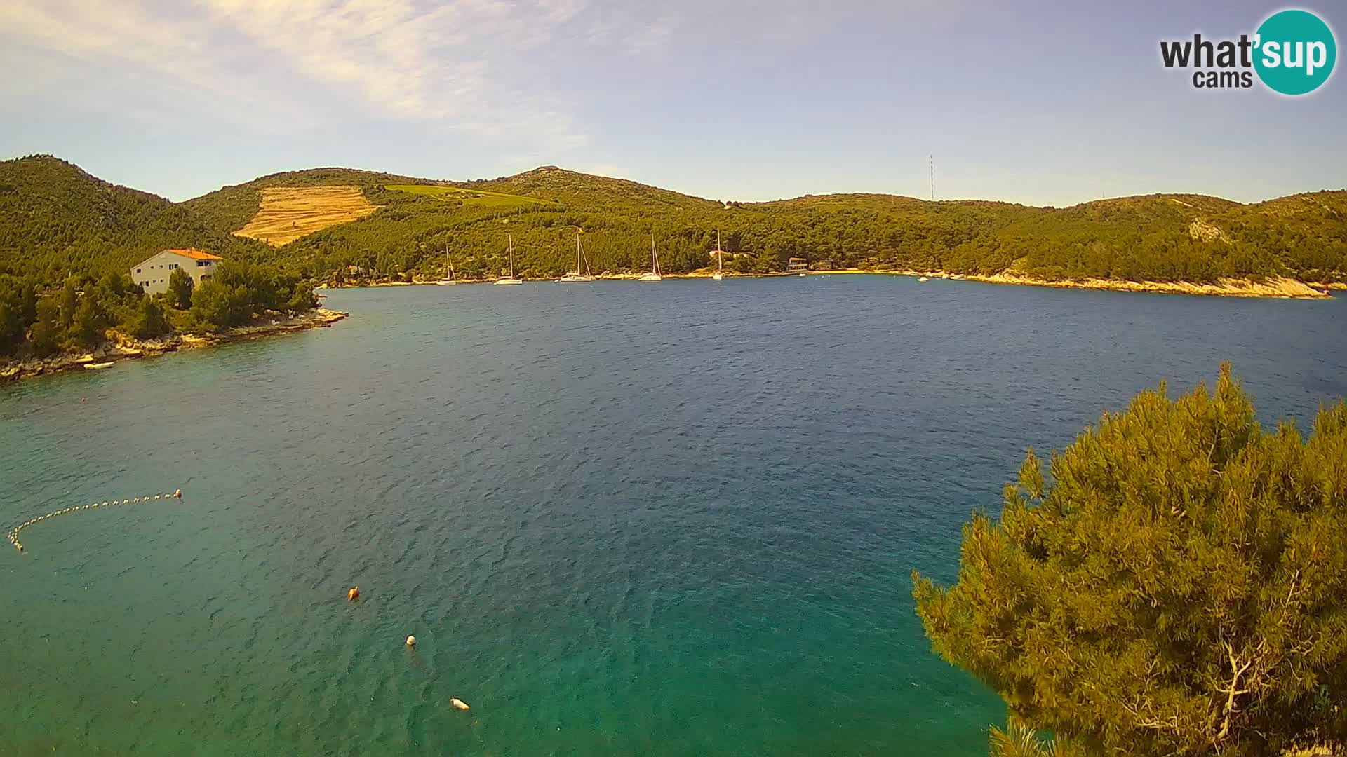 Camera Hvar Vira playa | Isla de Hvar | Dalmacia