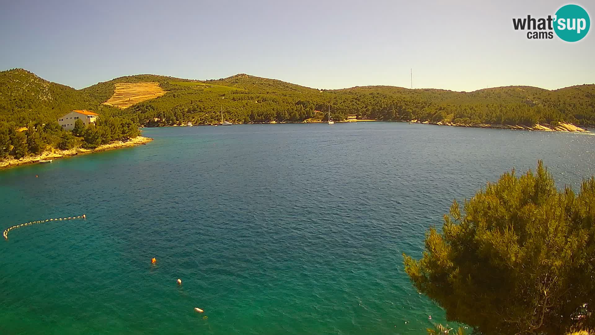 Webcam Hvar Vira beach | Hvar island | Dalmatia