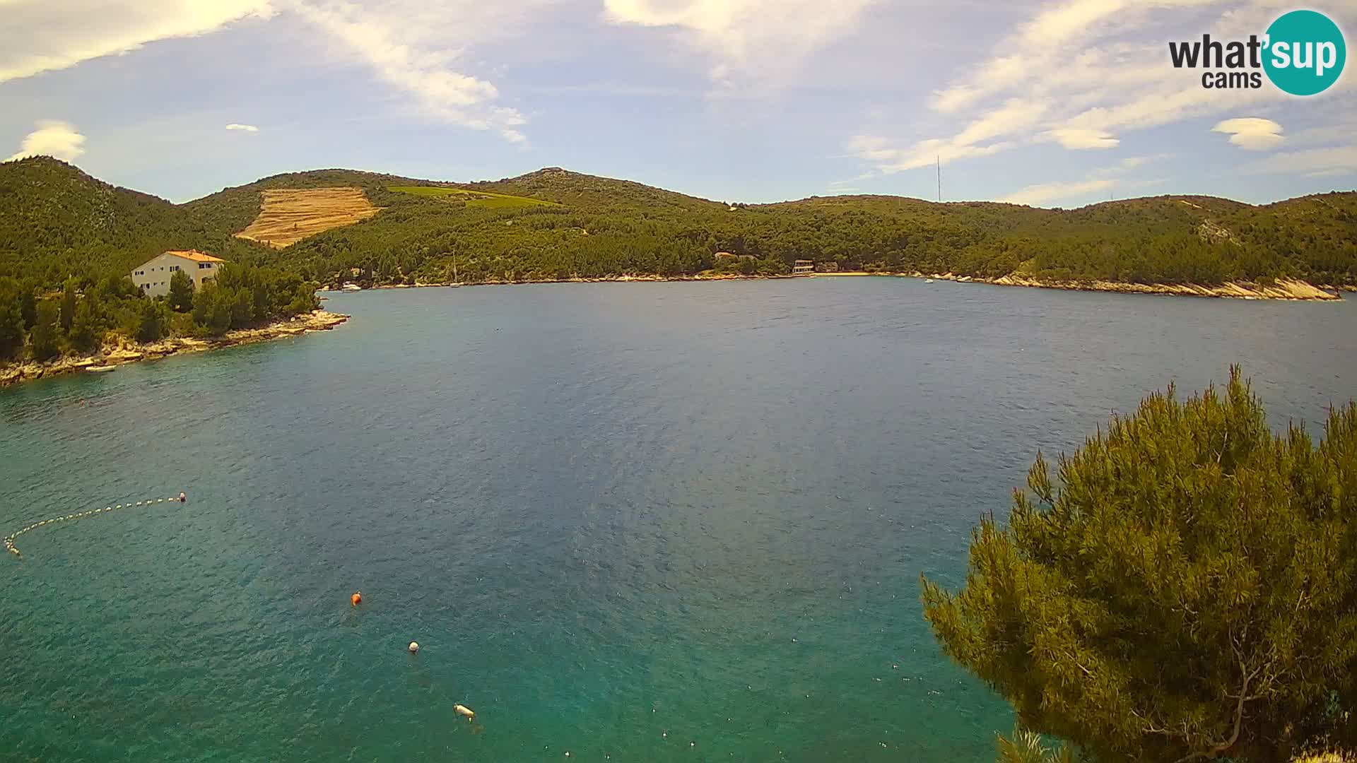 Kamera Hvar Vira plaža | Otok Hvar | Dalmacija