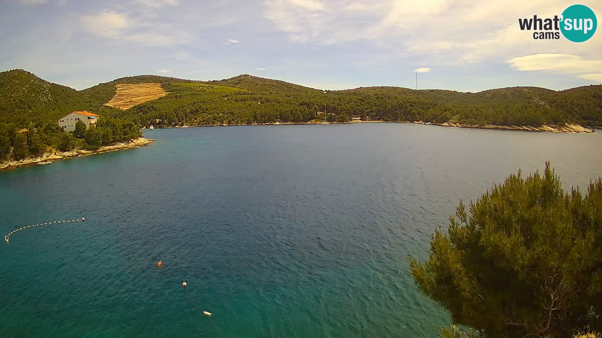 Camera Hvar Vira playa | Isla de Hvar | Dalmacia