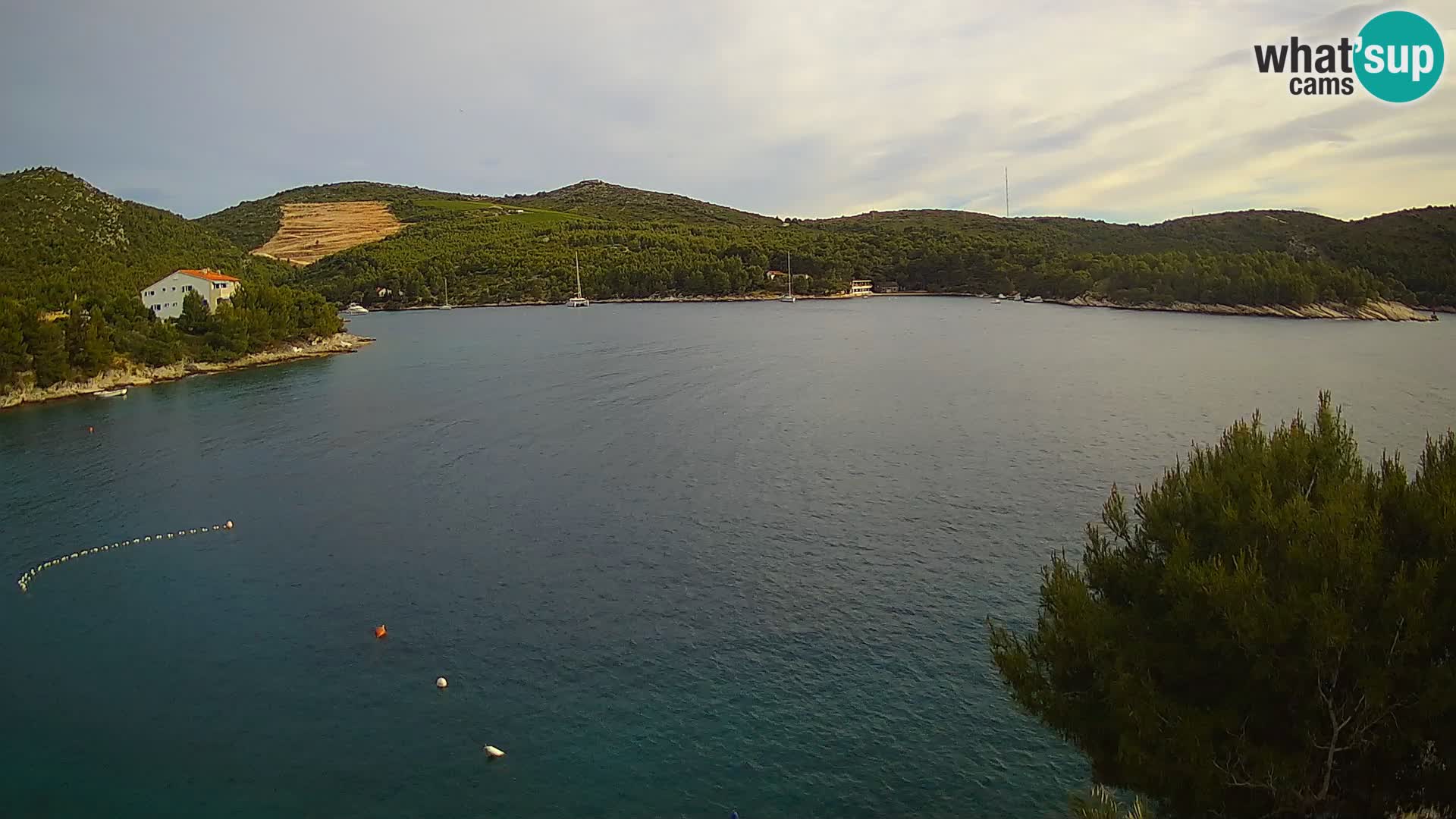 Live cam Hvar Vira plage | Île de Hvar | Dalmatie