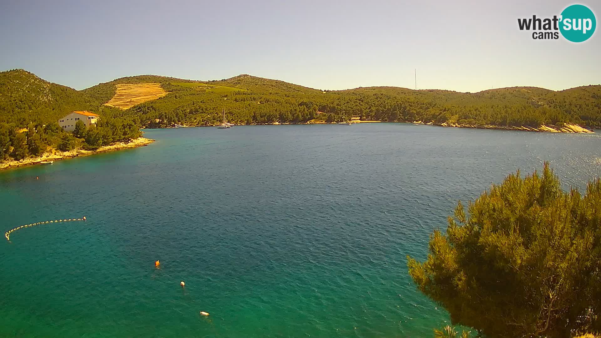 Camera Hvar Vira playa | Isla de Hvar | Dalmacia