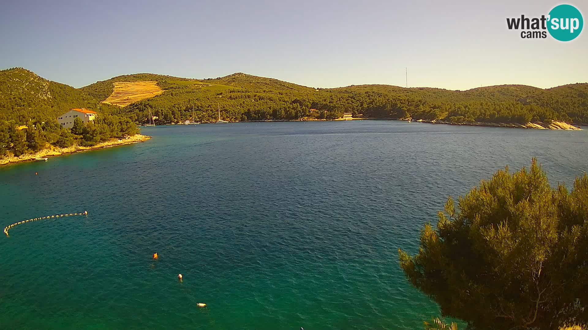 Live cam Hvar Vira plage | Île de Hvar | Dalmatie
