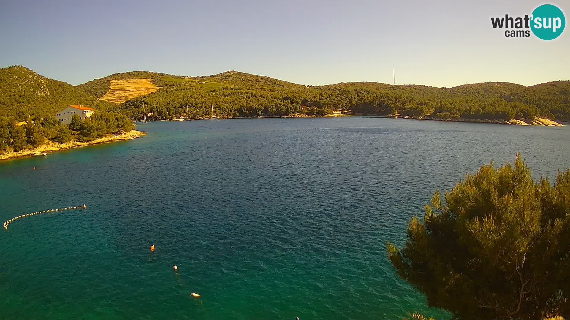 Live cam Hvar Vira plage | Île de Hvar | Dalmatie