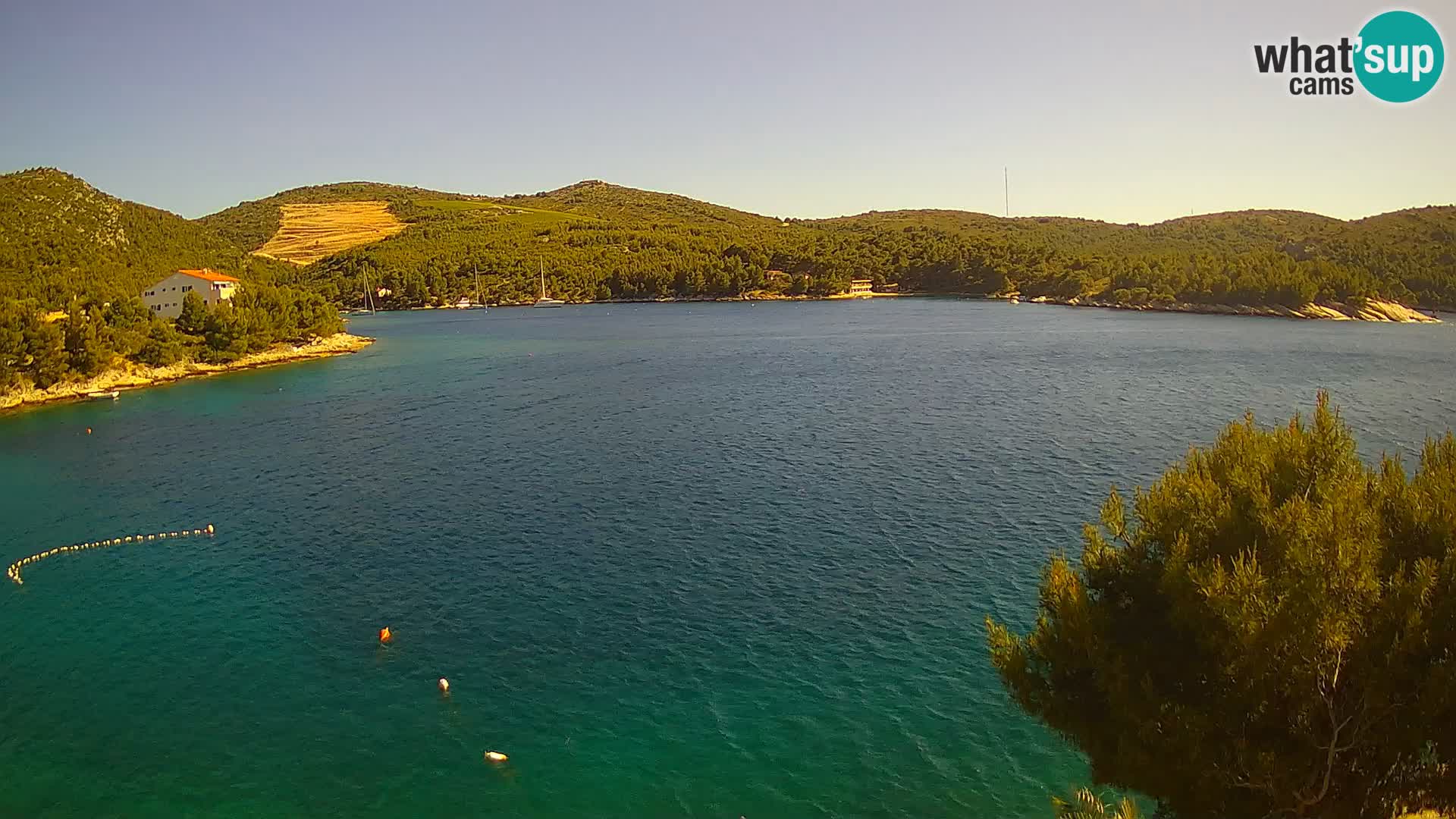 Live cam Hvar Vira plage | Île de Hvar | Dalmatie