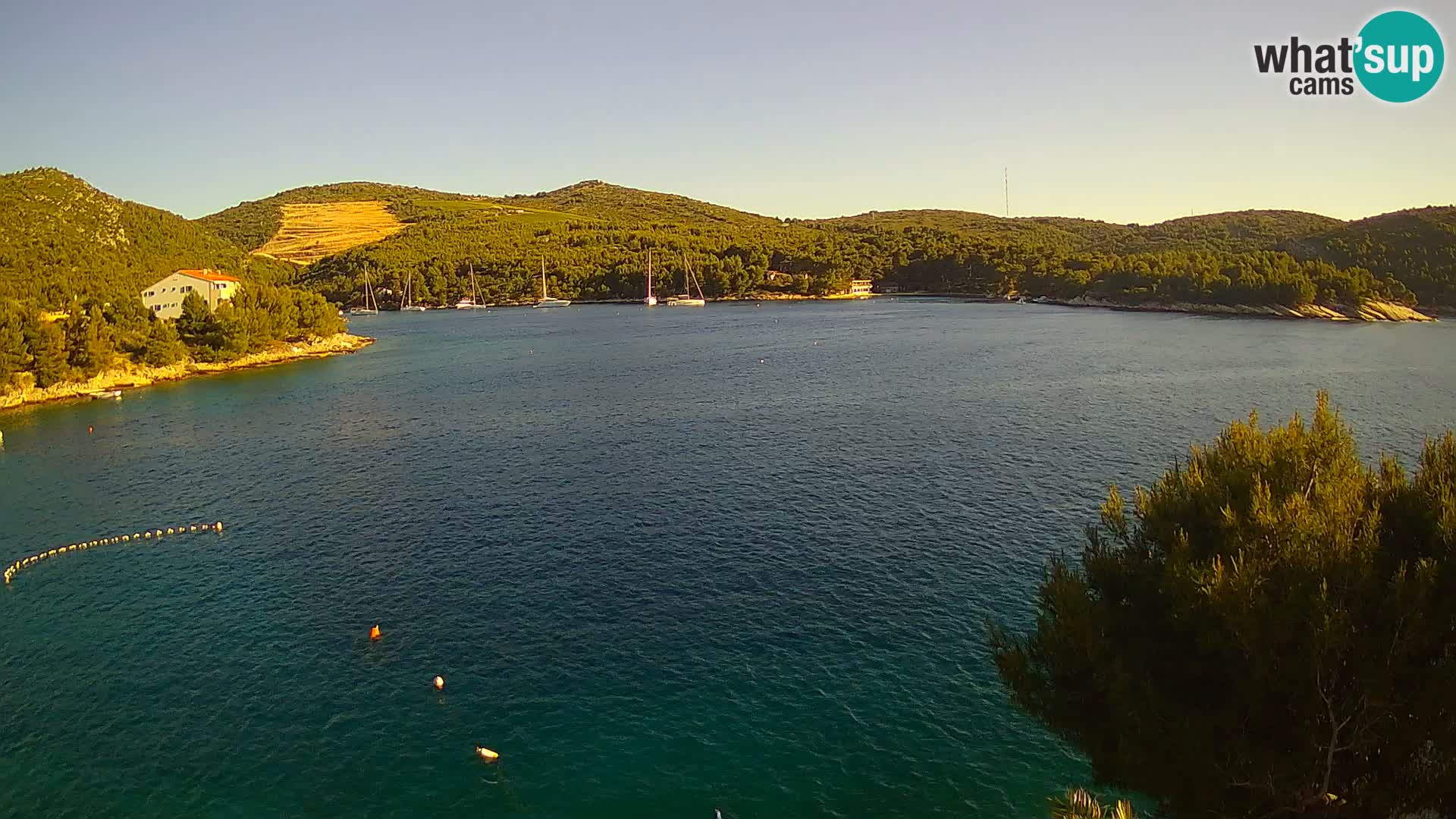 Live cam Hvar Vira plage | Île de Hvar | Dalmatie