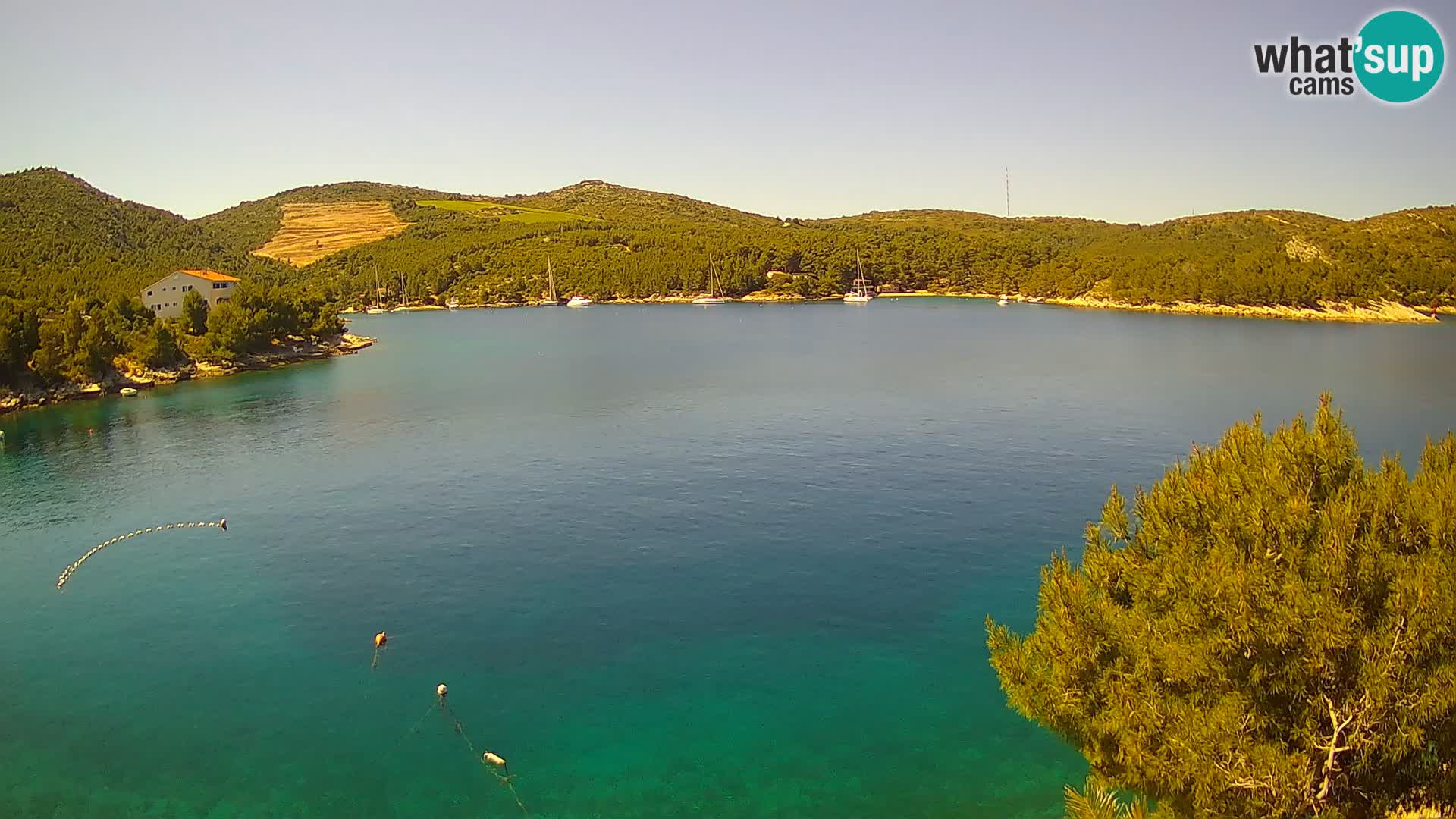 Camera Hvar Vira playa | Isla de Hvar | Dalmacia