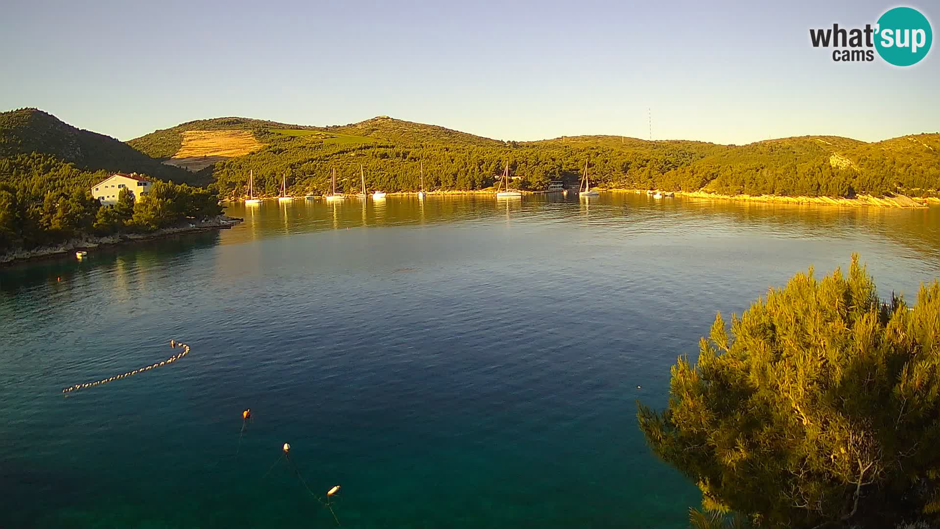 Live cam Hvar Vira plage | Île de Hvar | Dalmatie