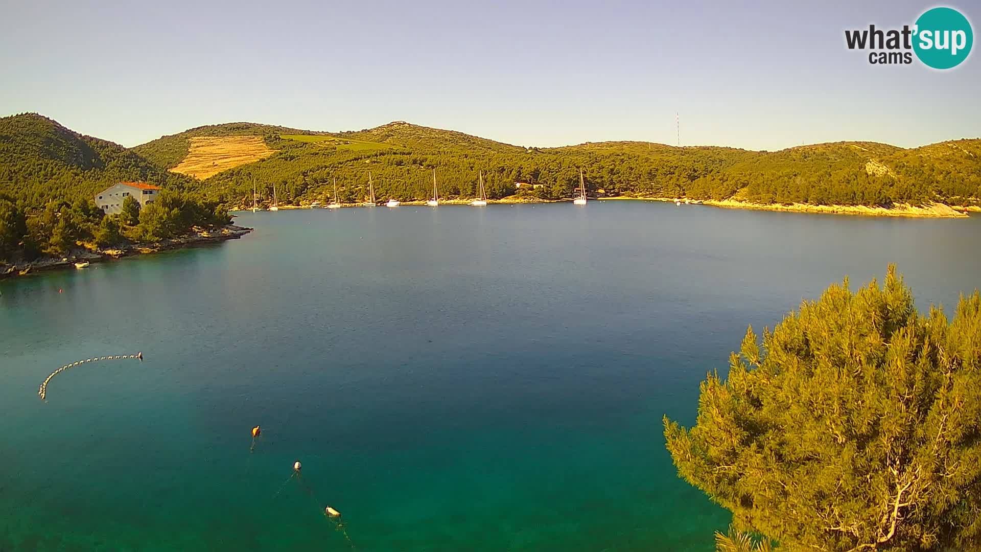 Hvar webcam Vira Strand | Hvar Insel | Dalmatien