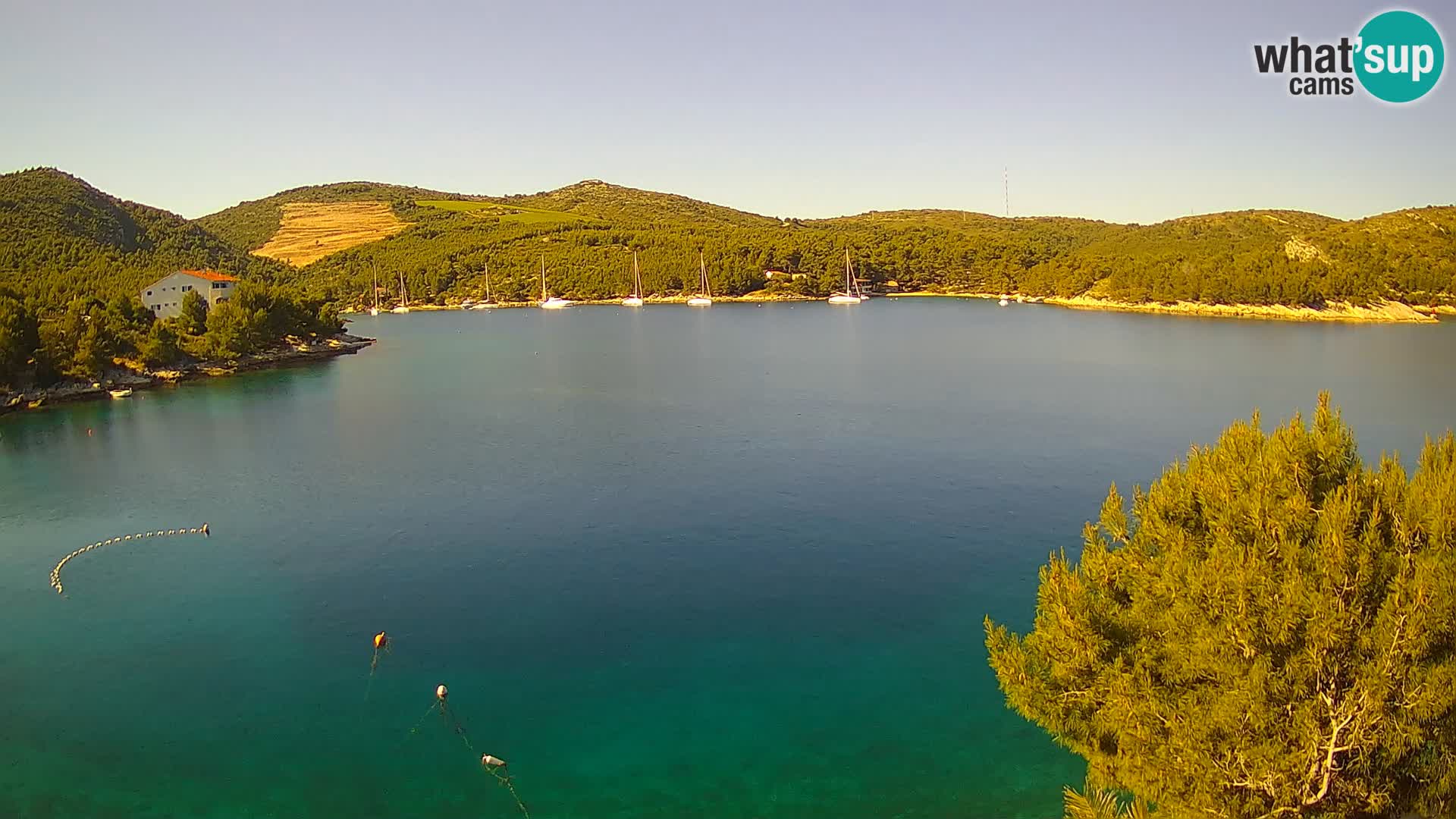 Hvar webcam Vira Strand | Hvar Insel | Dalmatien