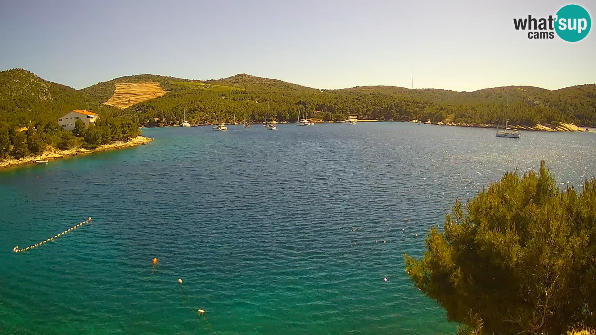 Hvar webcam Vira Strand | Hvar Insel | Dalmatien