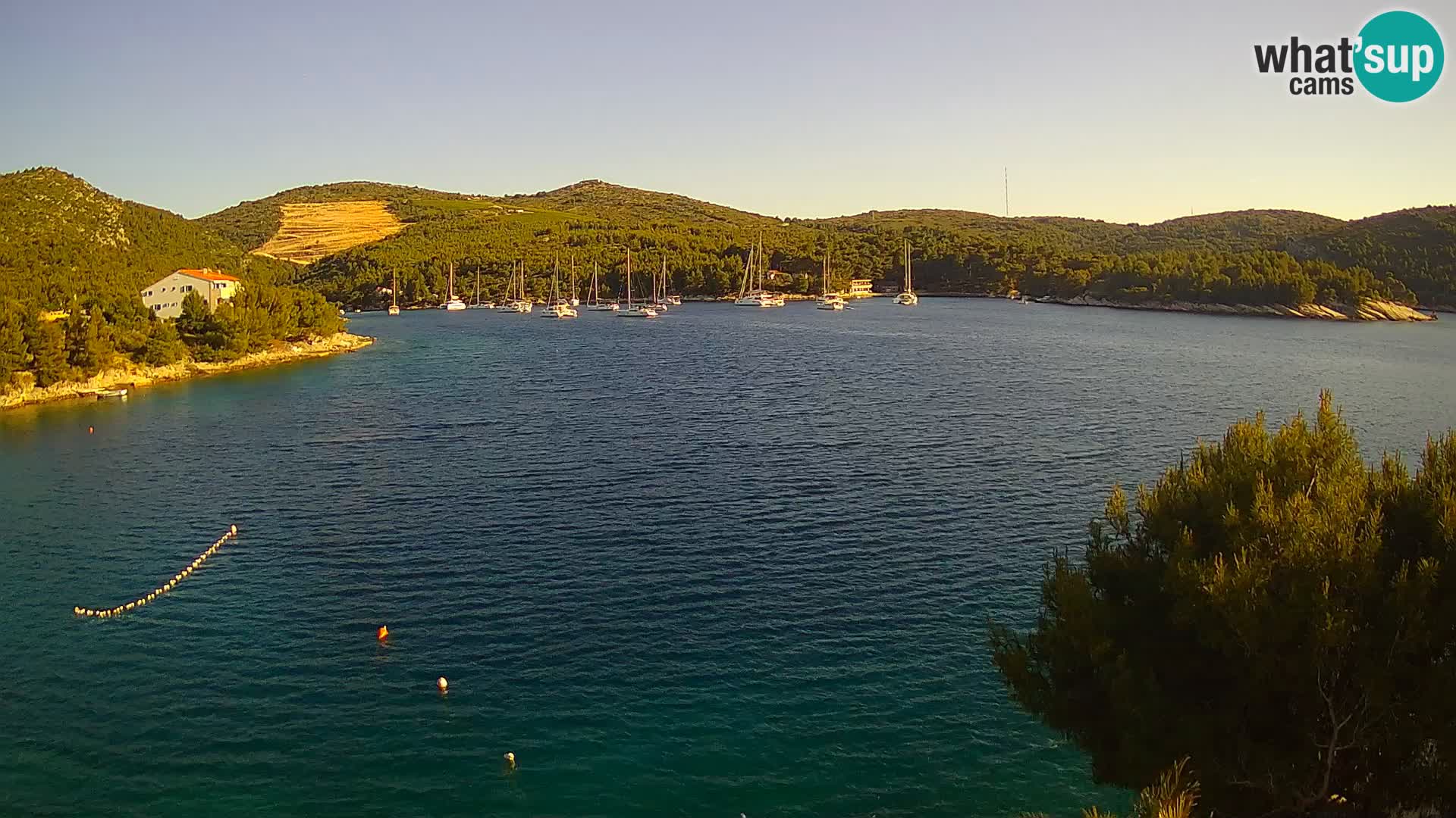 Hvar webcam Vira Strand | Hvar Insel | Dalmatien