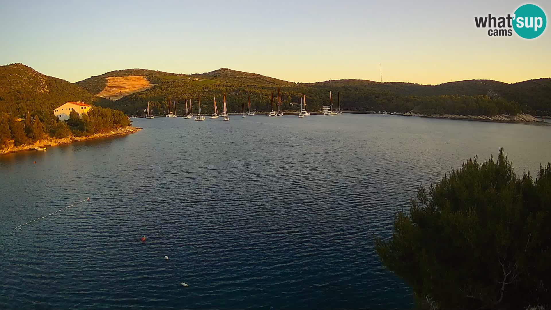 Camera Hvar Vira playa | Isla de Hvar | Dalmacia