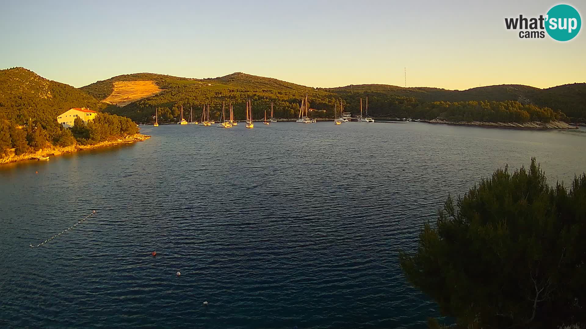 Live cam Hvar Vira plage | Île de Hvar | Dalmatie