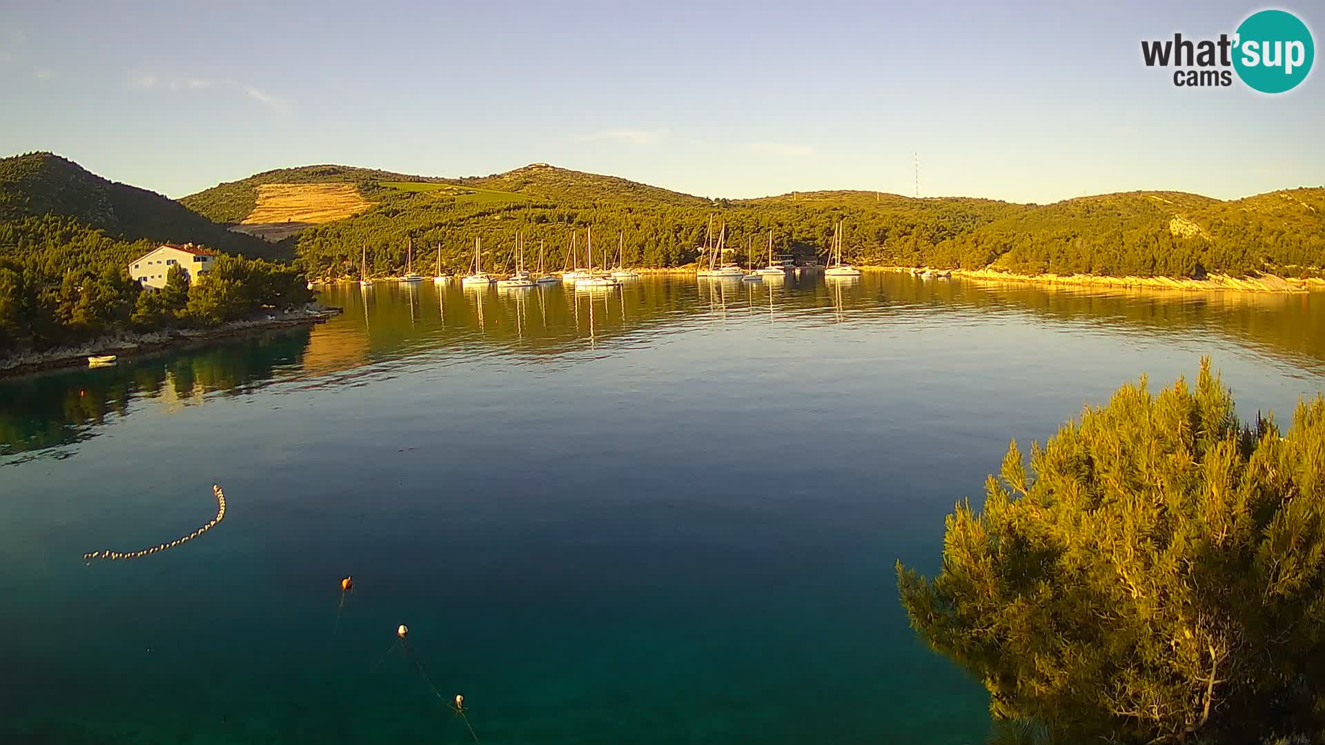 Camera Hvar Vira playa | Isla de Hvar | Dalmacia