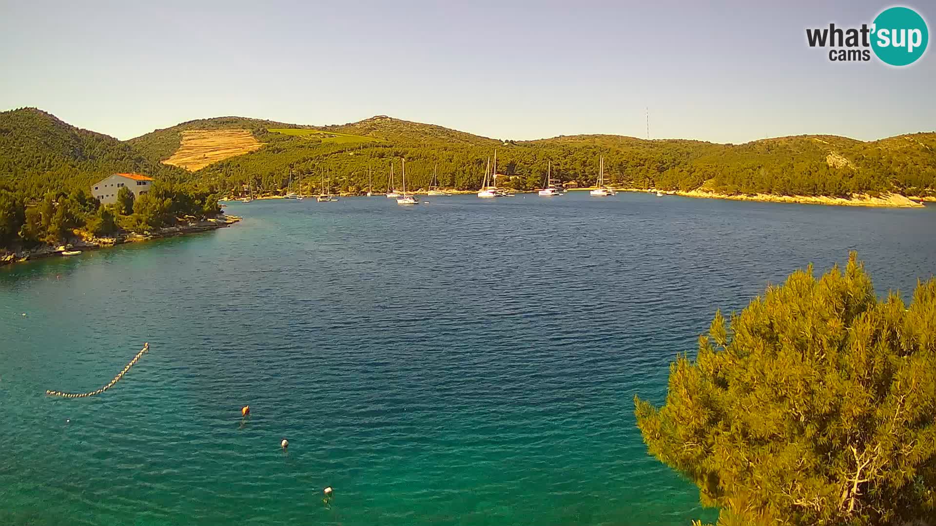 Hvar webcam Vira Strand | Hvar Insel | Dalmatien