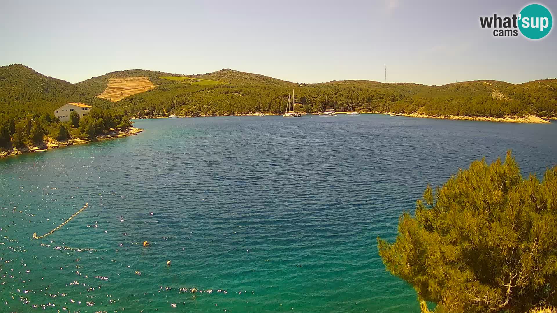 Live cam Hvar Vira plage | Île de Hvar | Dalmatie
