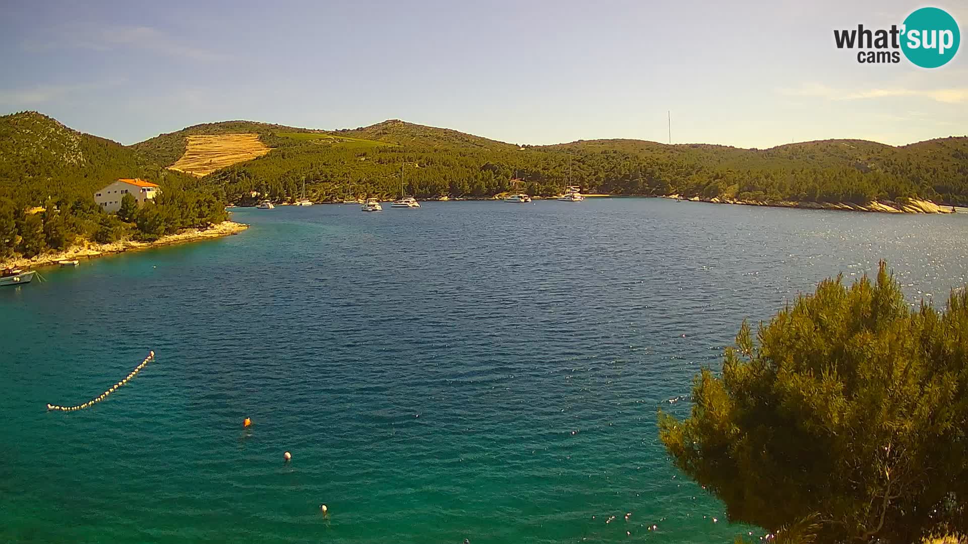 Live cam Hvar Vira plage | Île de Hvar | Dalmatie
