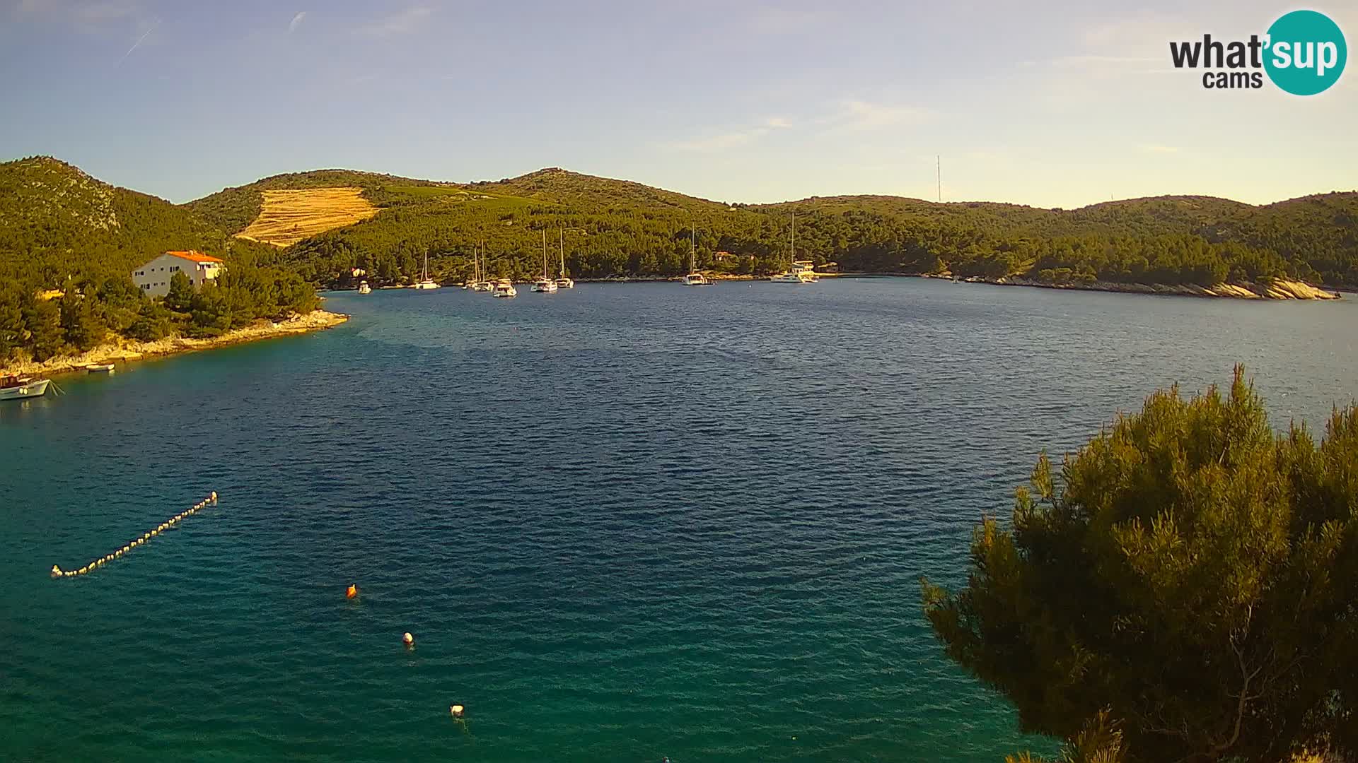 Hvar webcam Vira Strand | Hvar Insel | Dalmatien