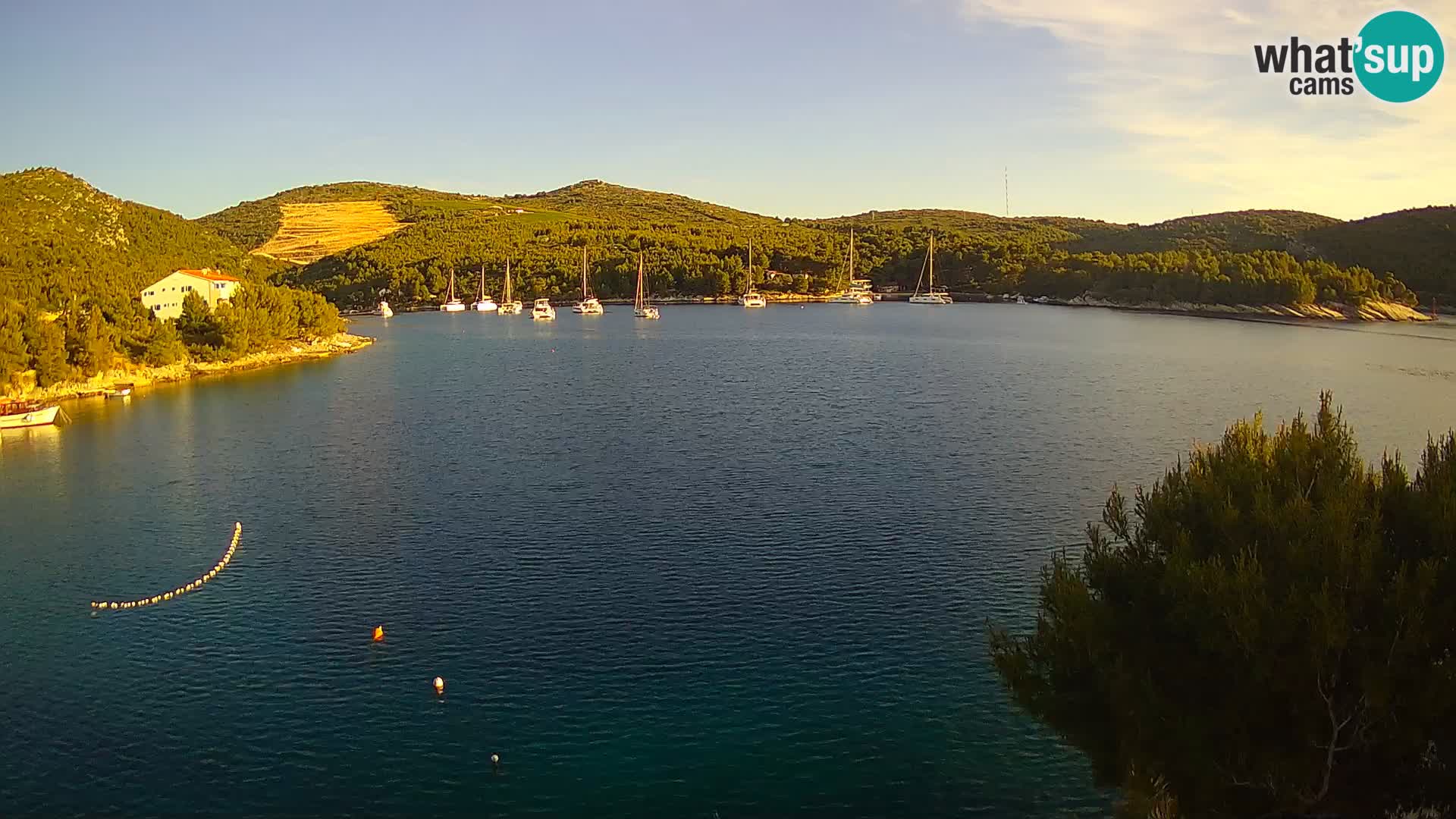 Hvar webcam Vira Strand | Hvar Insel | Dalmatien