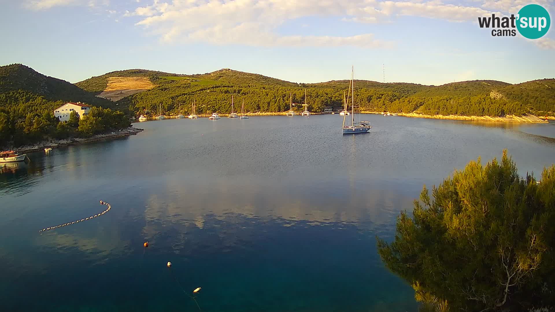 Camera Hvar Vira playa | Isla de Hvar | Dalmacia