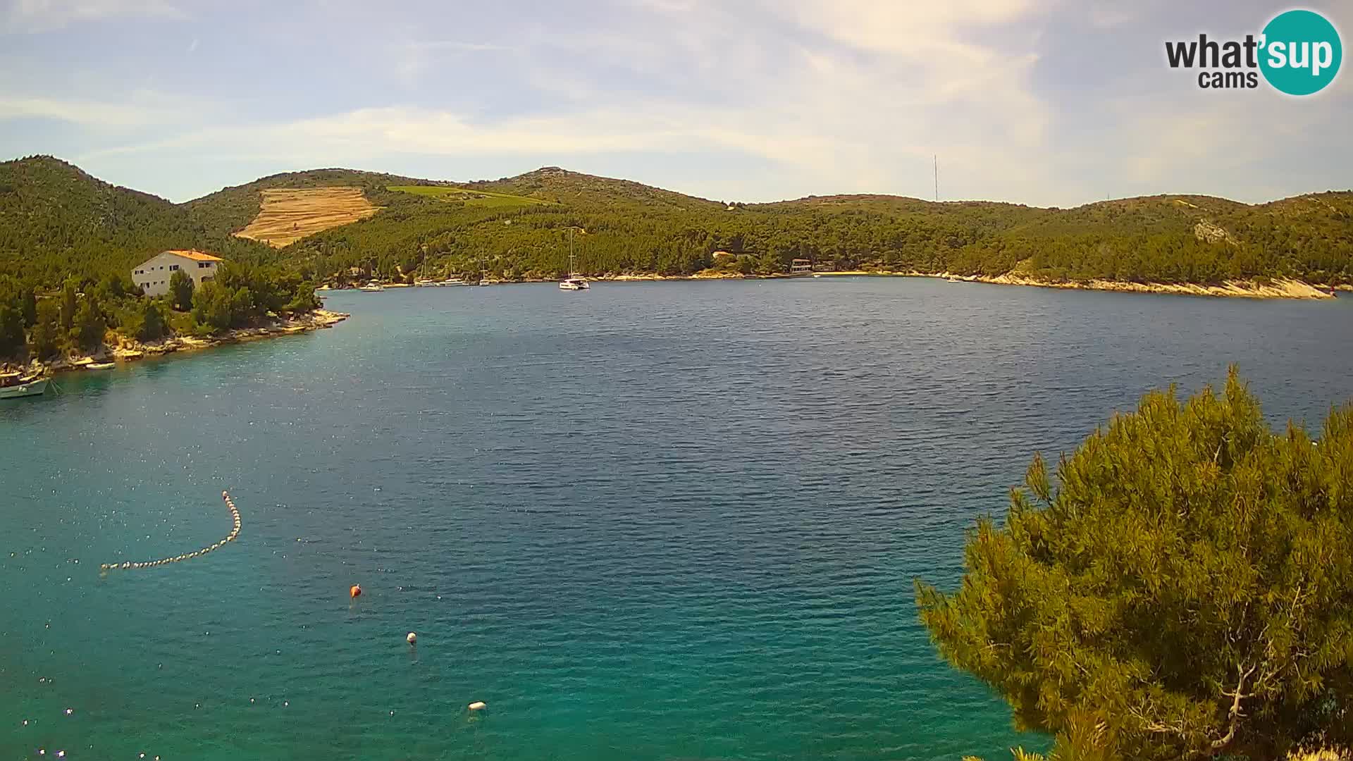 Camera Hvar Vira playa | Isla de Hvar | Dalmacia
