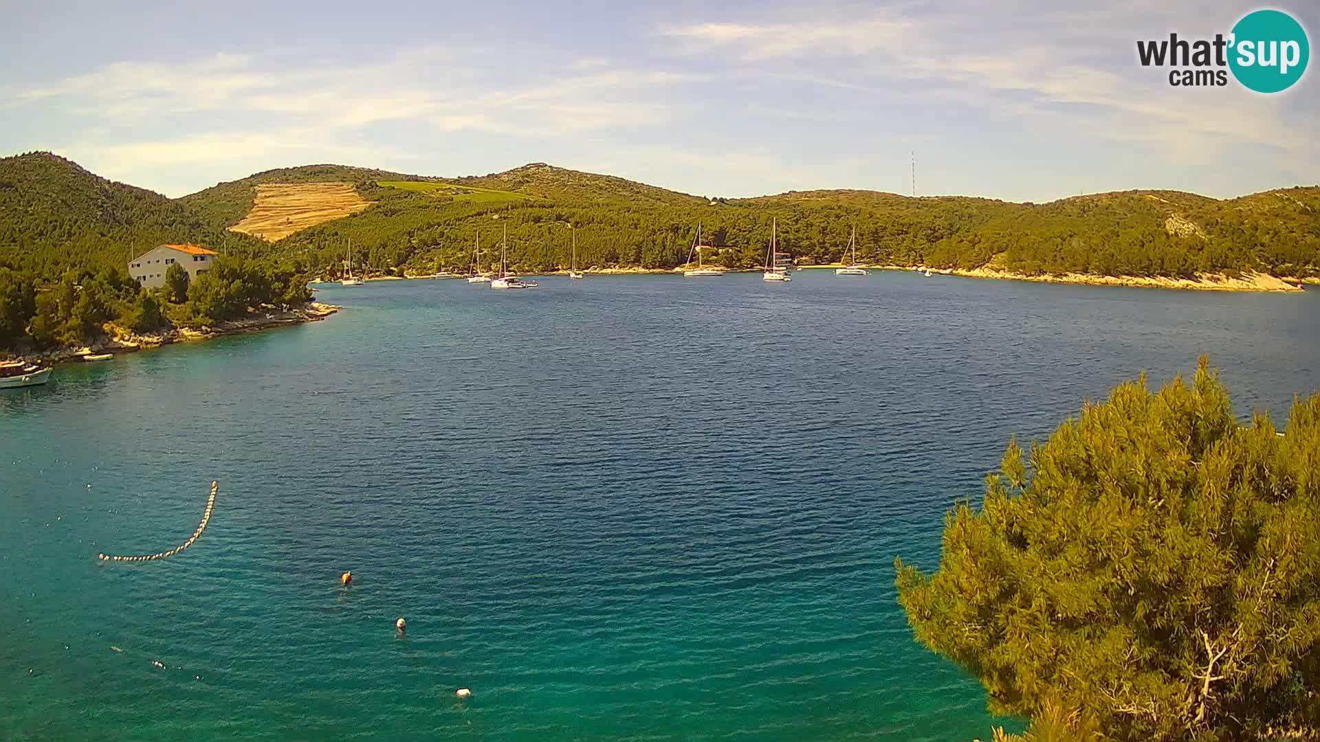Web kamera Hvar Vira plaža | otok Hvar | Dalmacija