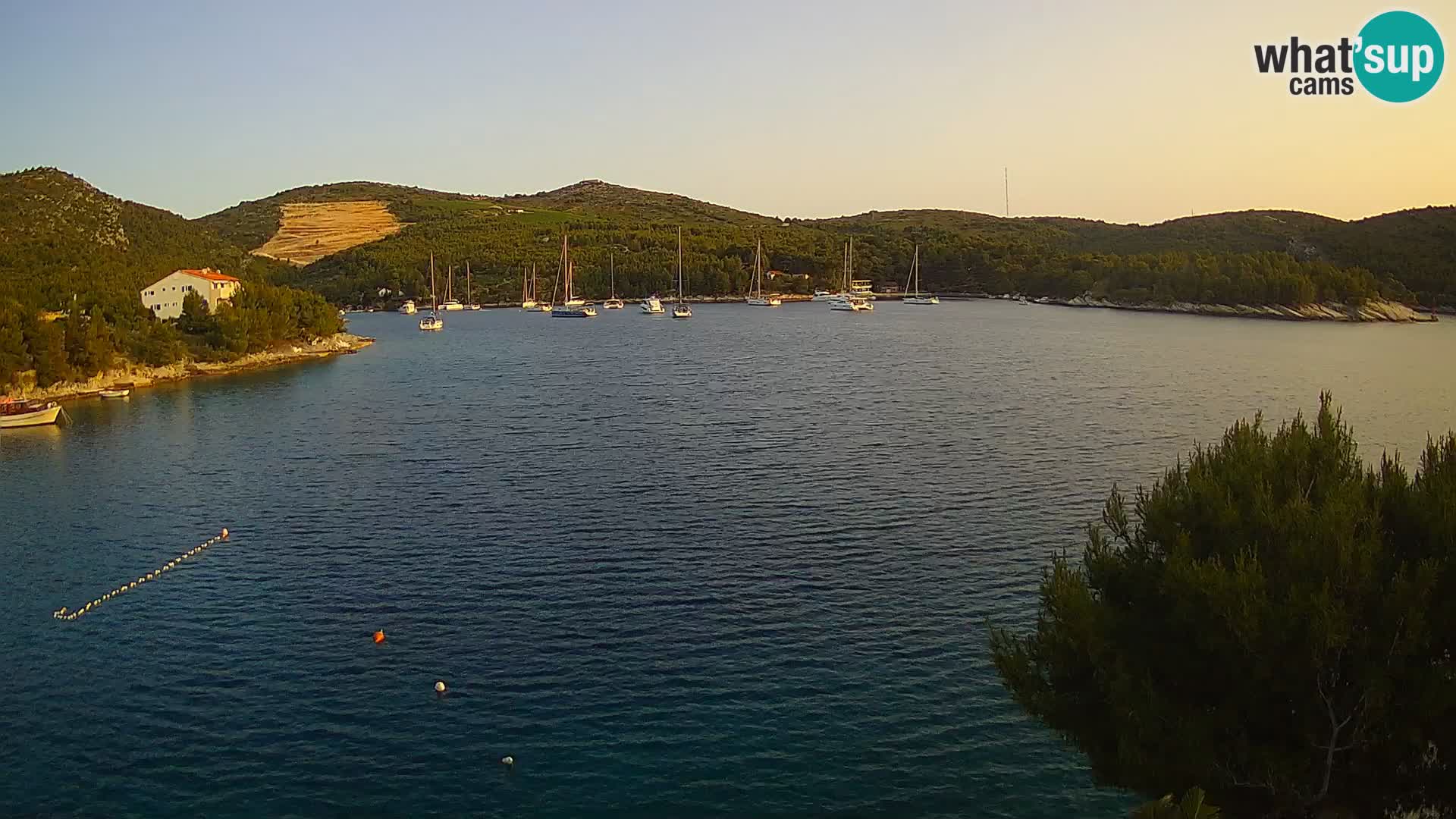 Hvar webcam Vira Strand | Hvar Insel | Dalmatien