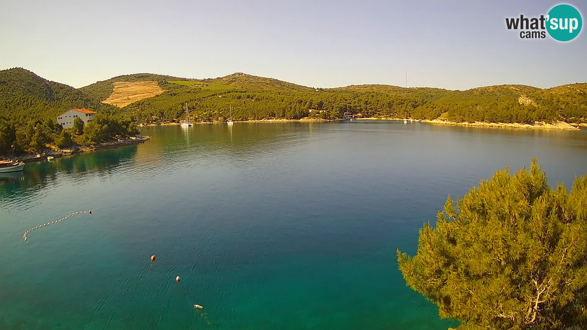 Webcam Hvar Vira beach | Hvar island | Dalmatia