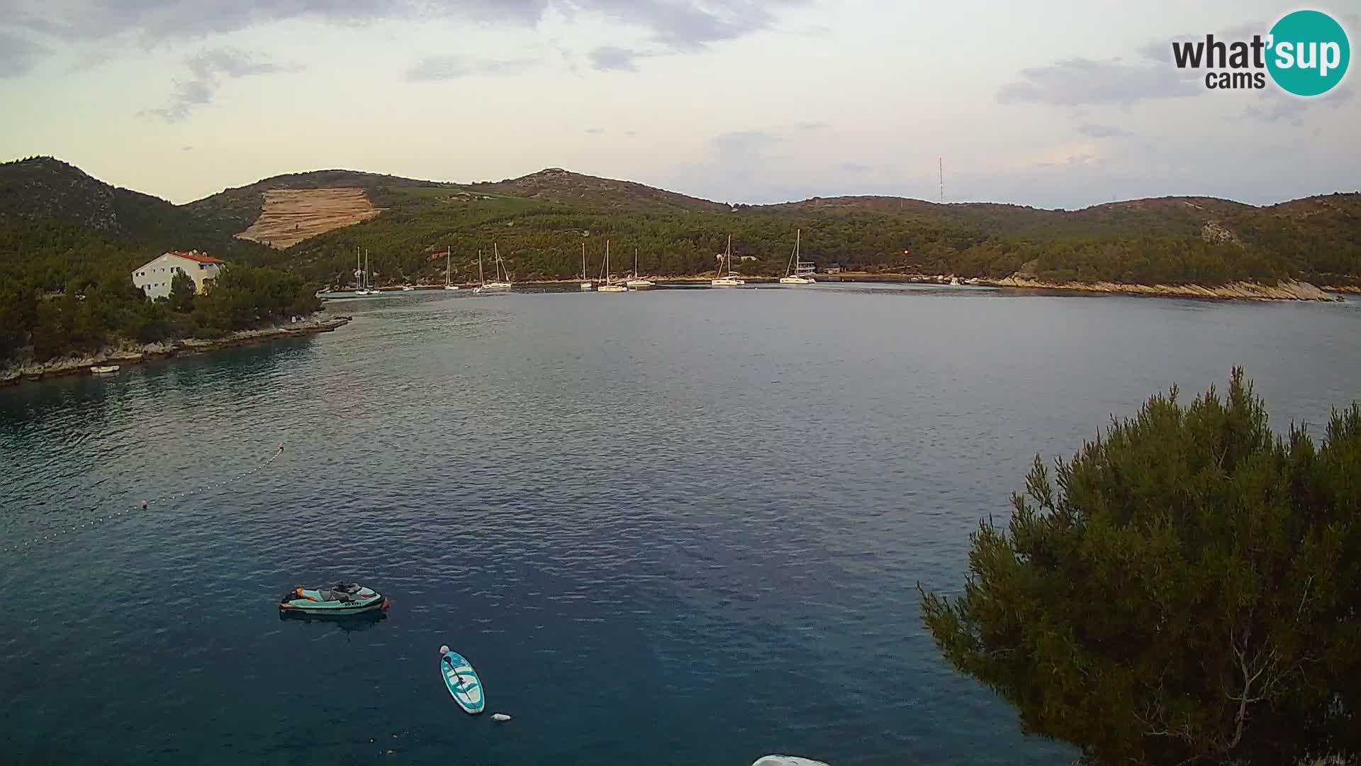 Hvar webcam Vira Strand | Hvar Insel | Dalmatien