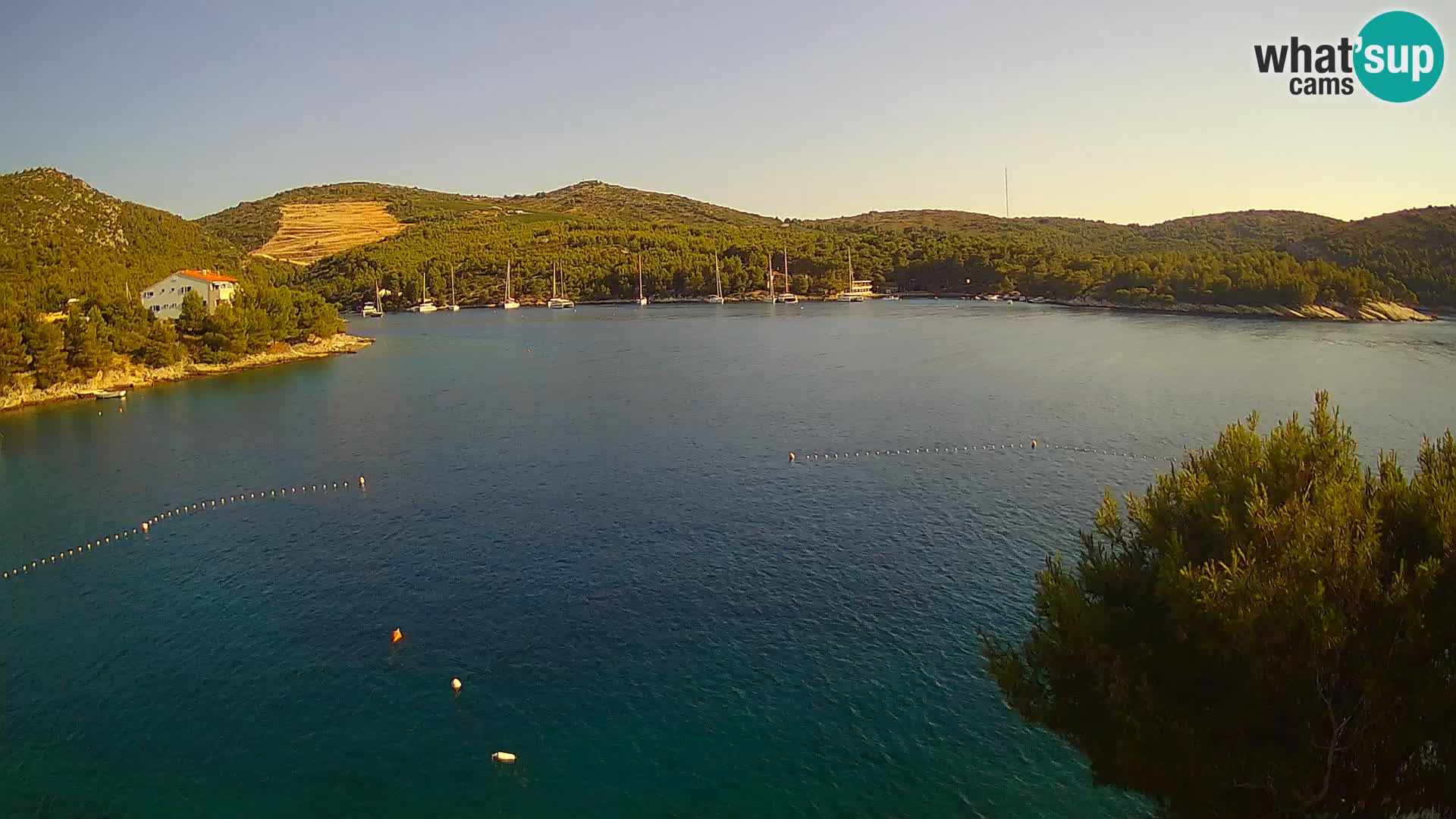 Live cam Hvar Vira plage | Île de Hvar | Dalmatie