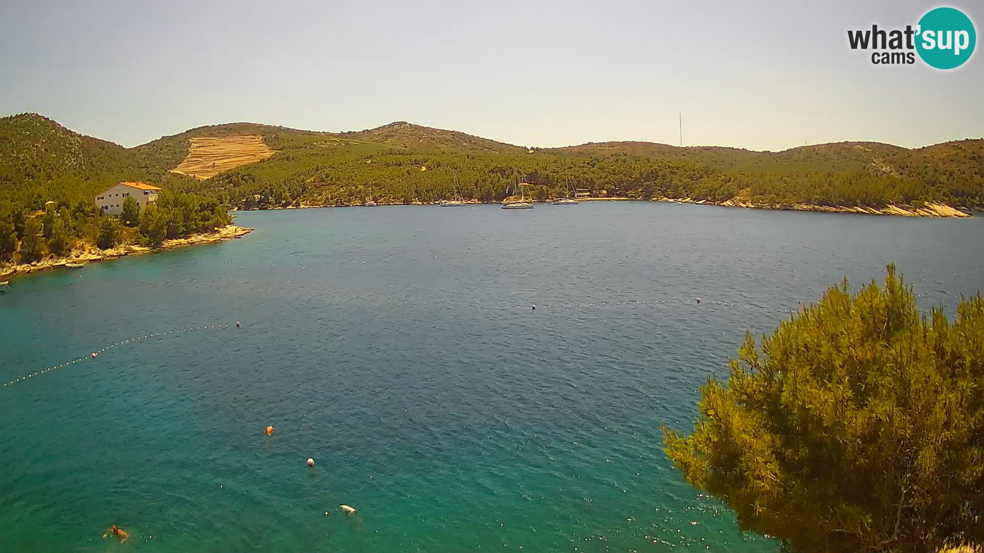 Camera Hvar Vira playa | Isla de Hvar | Dalmacia